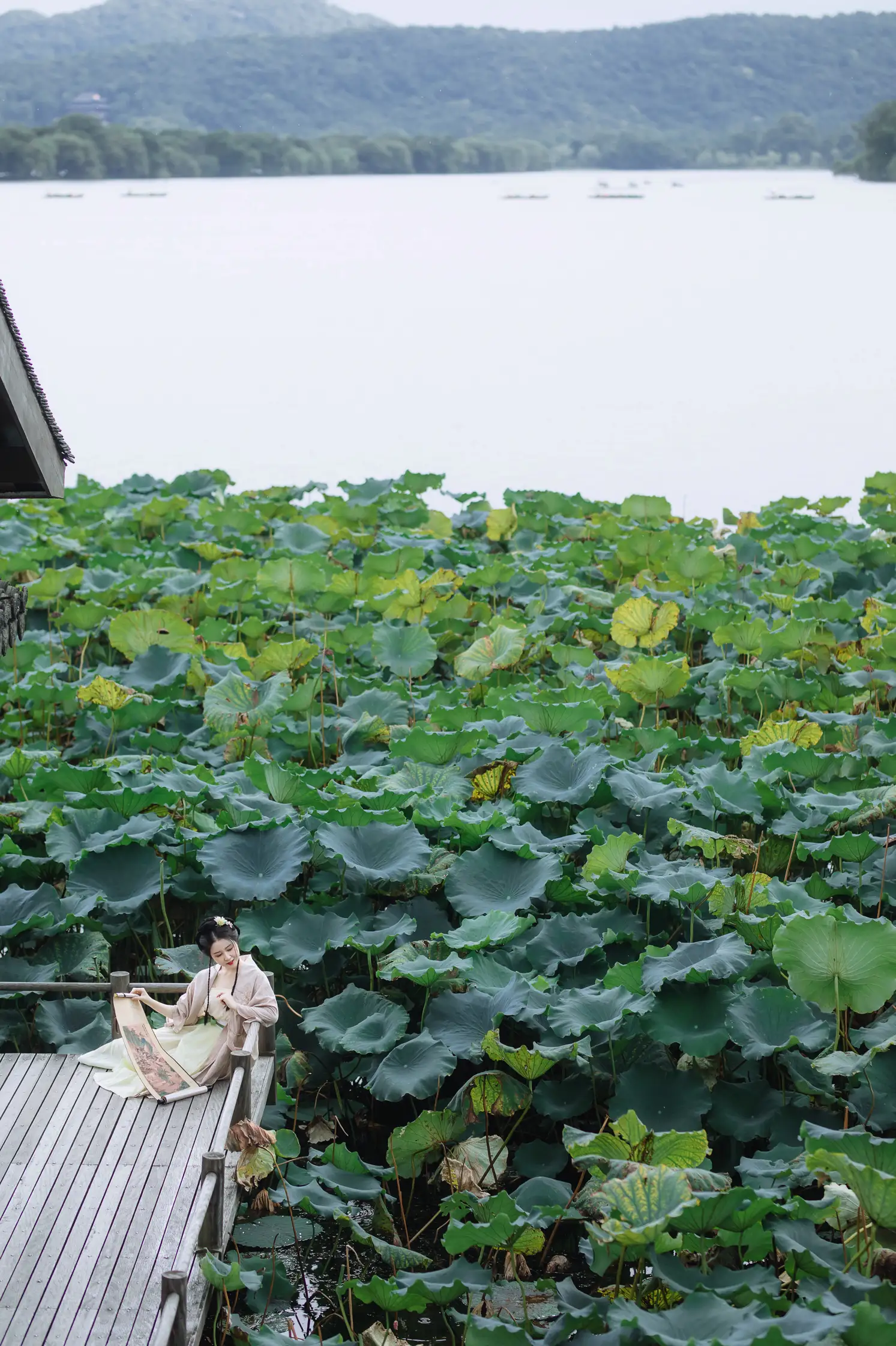 [艺图语] 2022.02.09 Vol.773 – 荷叶五寸荷花娇 罗熙#[19P]-4