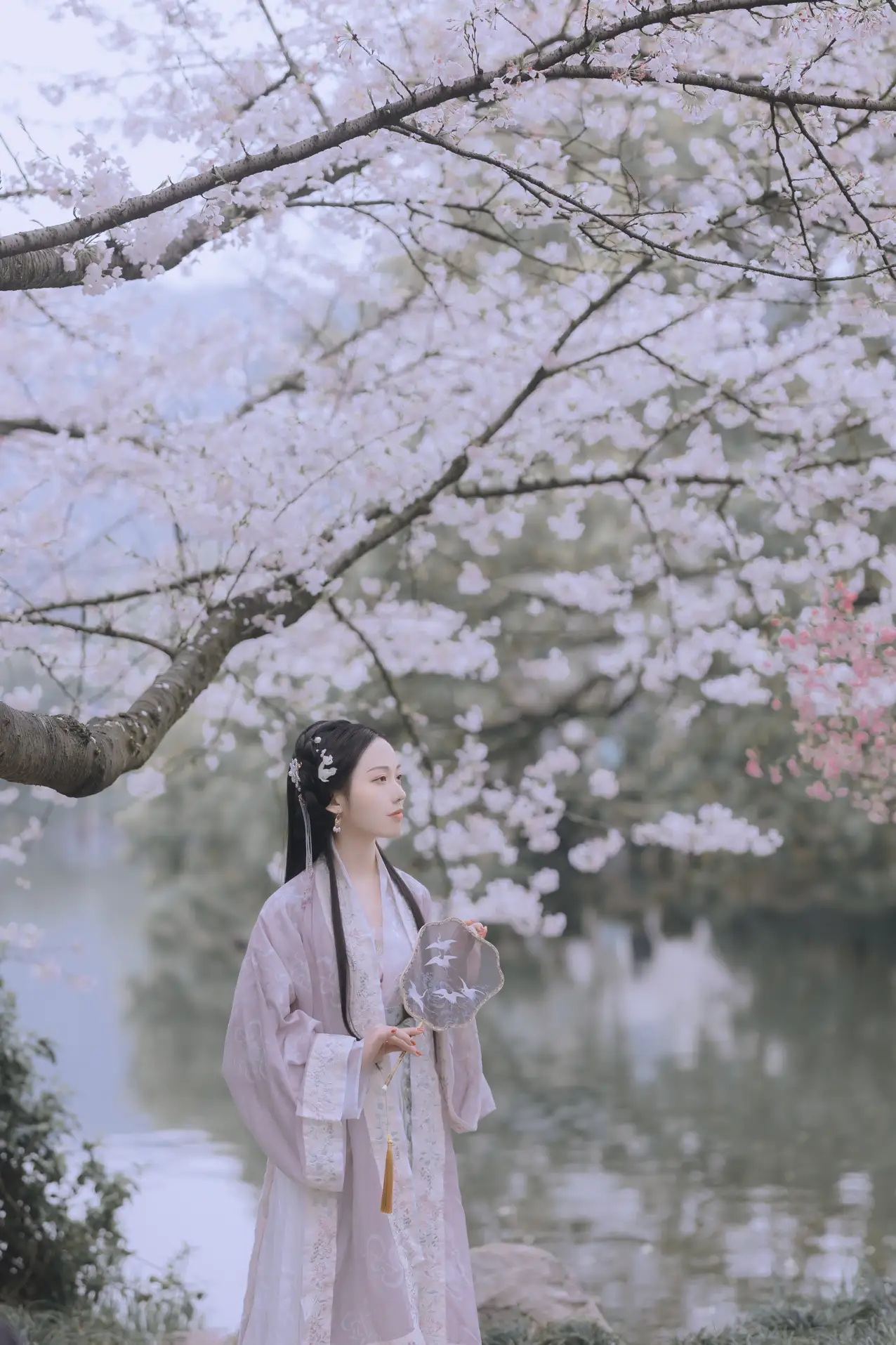 [艺图语] 2022.01.14 Vol.652 – 樱花落 Joyceee#[26P]-6