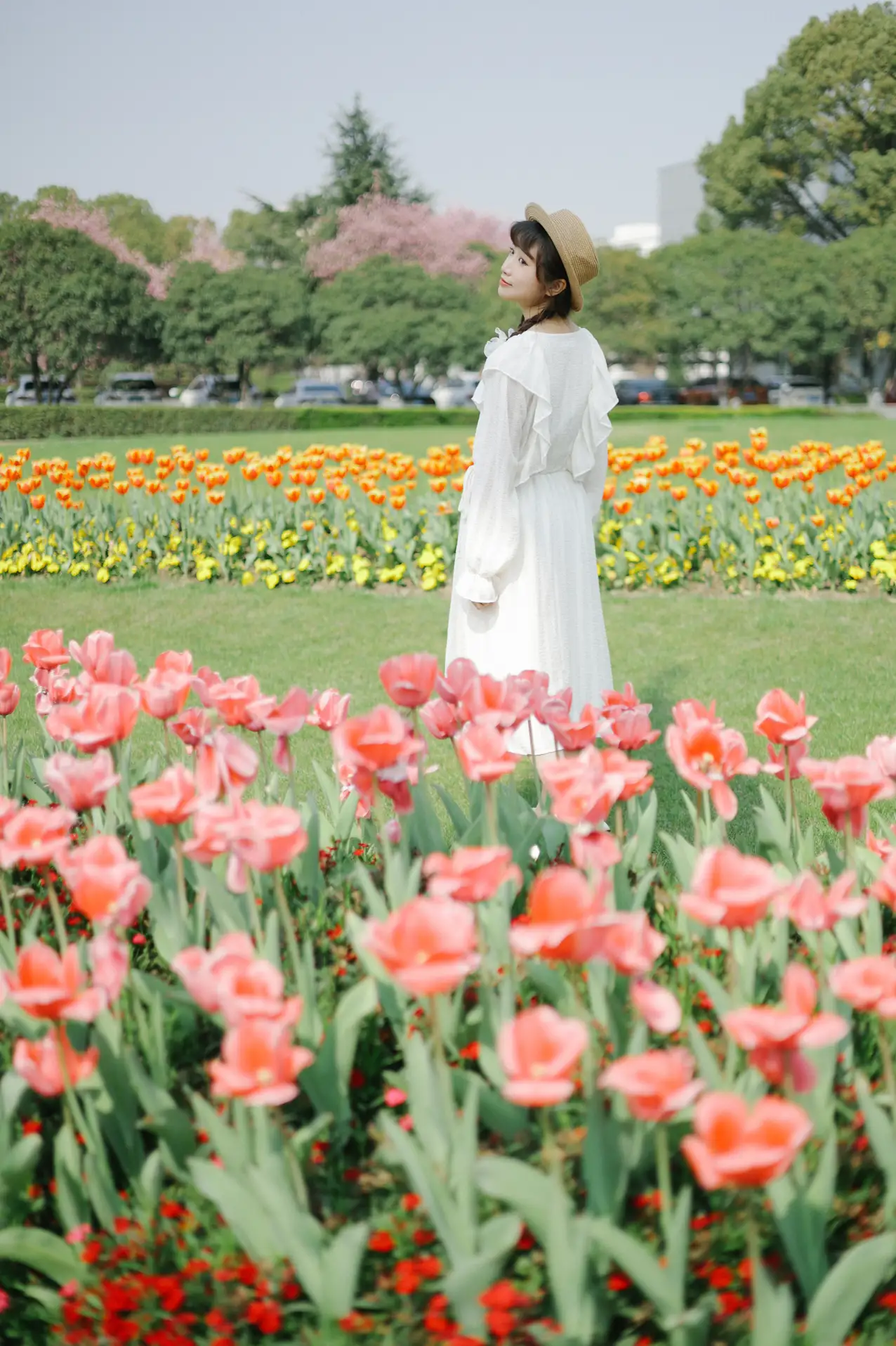 [艺图语] 2022.09.10 Vol.1920 – 郁金香花开 蓝胖子-#[28P]-1