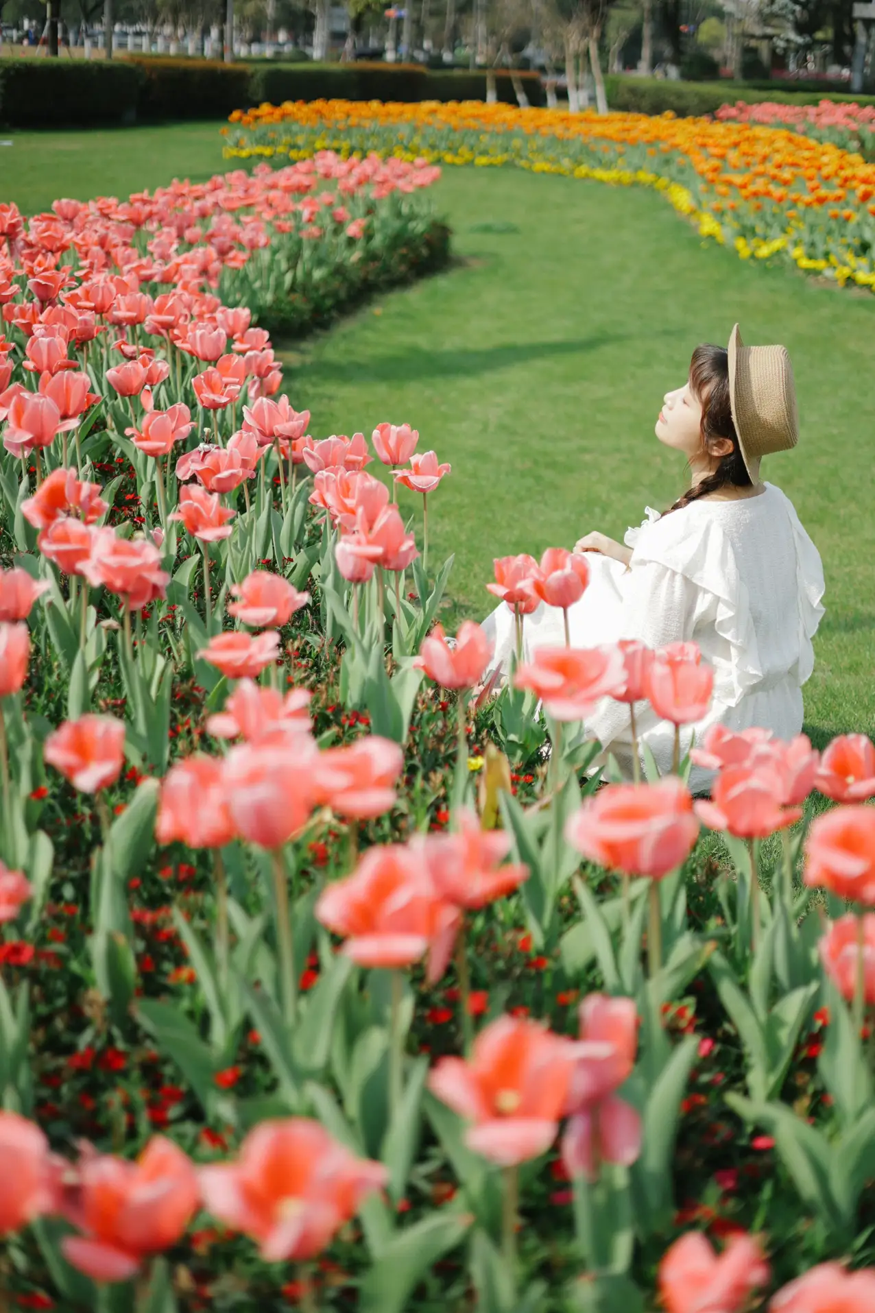 [艺图语] 2022.09.10 Vol.1920 – 郁金香花开 蓝胖子-#[28P]-7