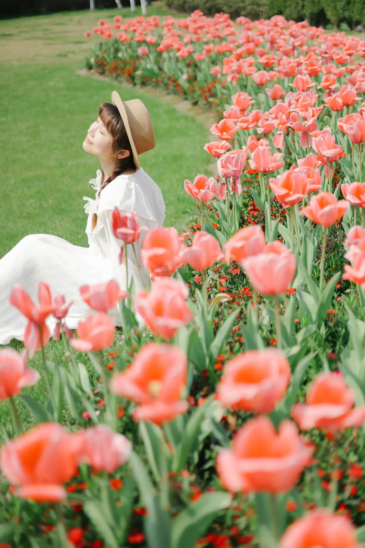 [艺图语] 2022.09.10 Vol.1920 – 郁金香花开 蓝胖子-#[28P]-1