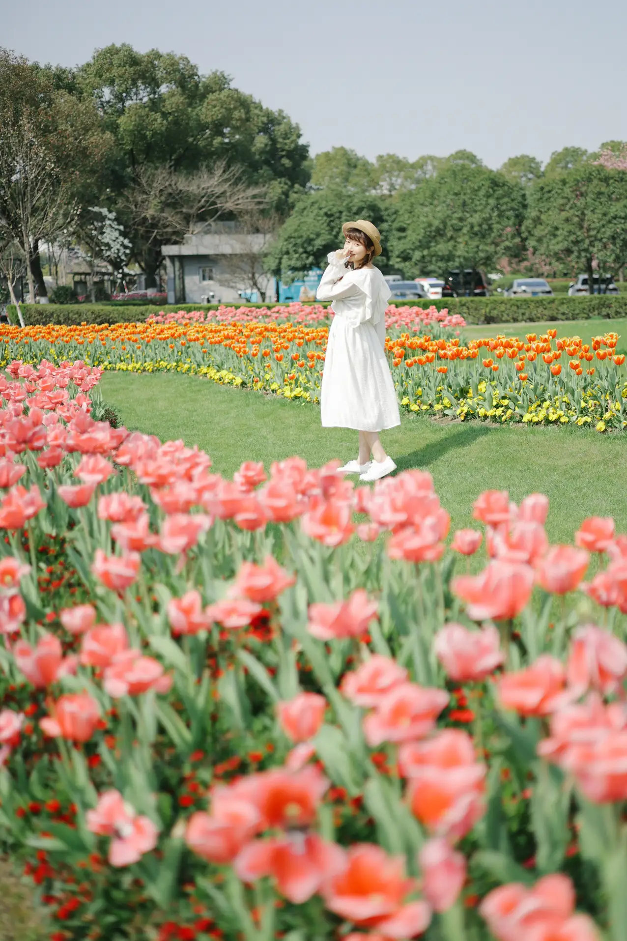 [艺图语] 2022.09.10 Vol.1920 – 郁金香花开 蓝胖子-#[28P]-8