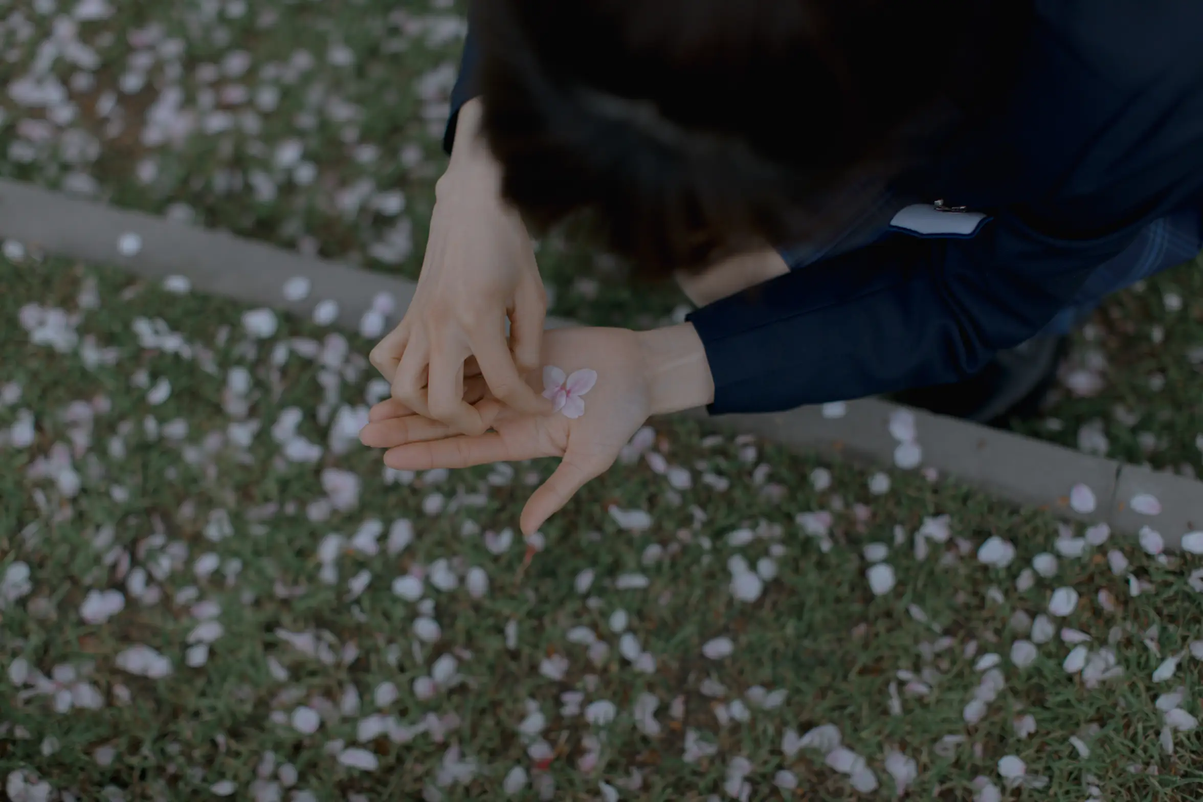 [艺图语] 2021.09.02 Vol.228 – 樱花渐落 汤兮兮#[42P]-6