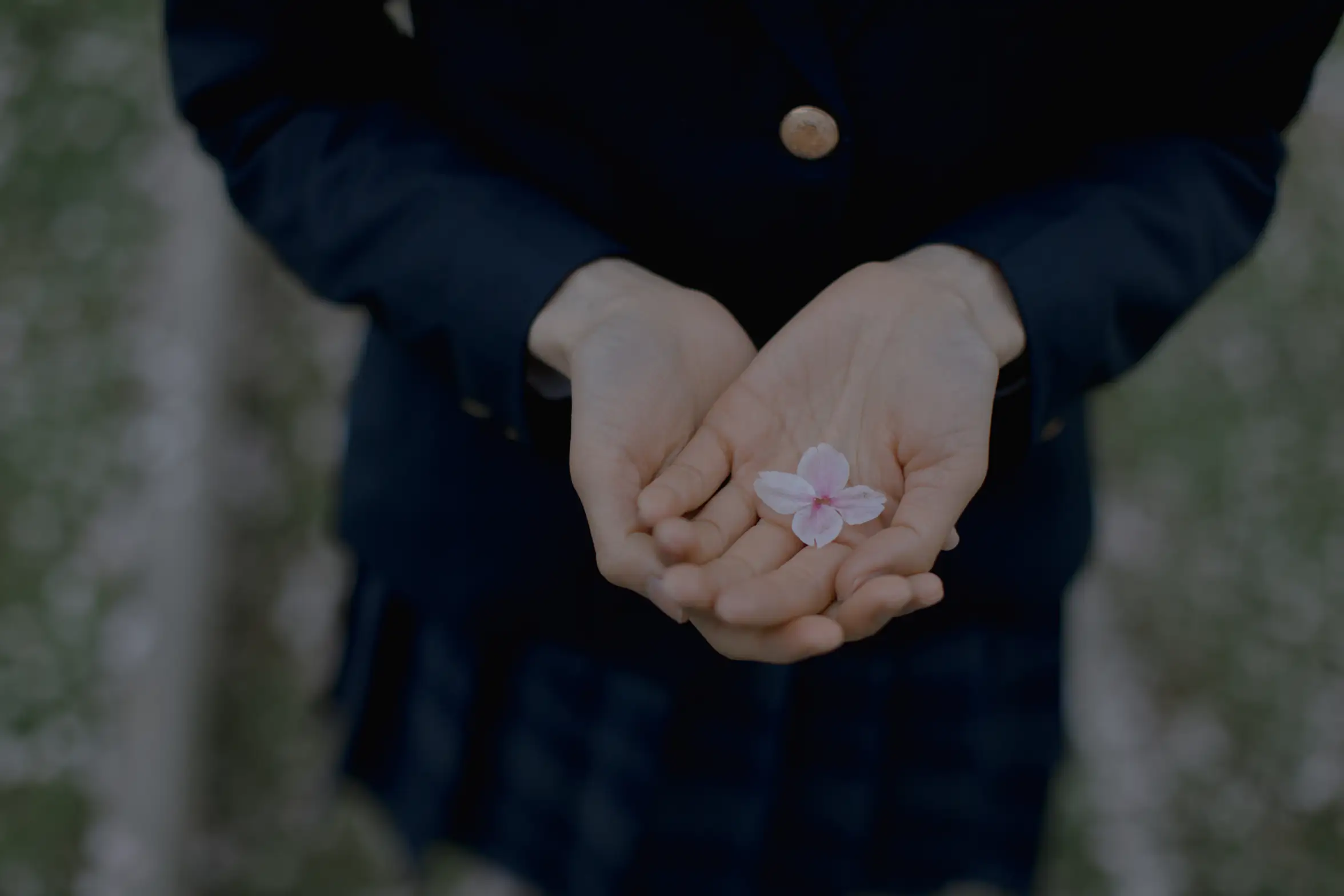 [艺图语] 2021.09.02 Vol.228 – 樱花渐落 汤兮兮#[42P]-9