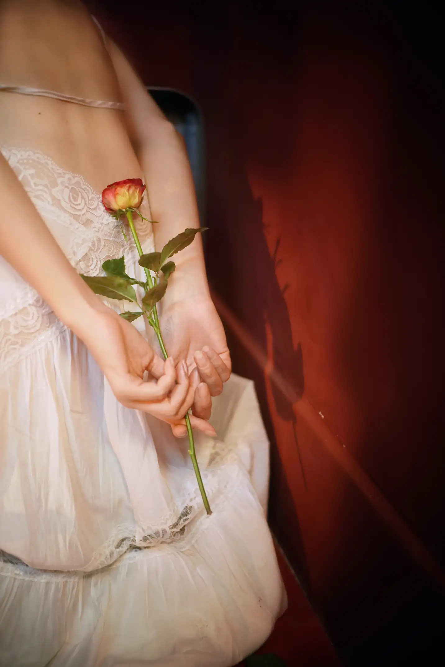 [艺图语] 2022.08.10 Vol.1667 – 孤寂的玫瑰之旅 阿万#[28P]-5