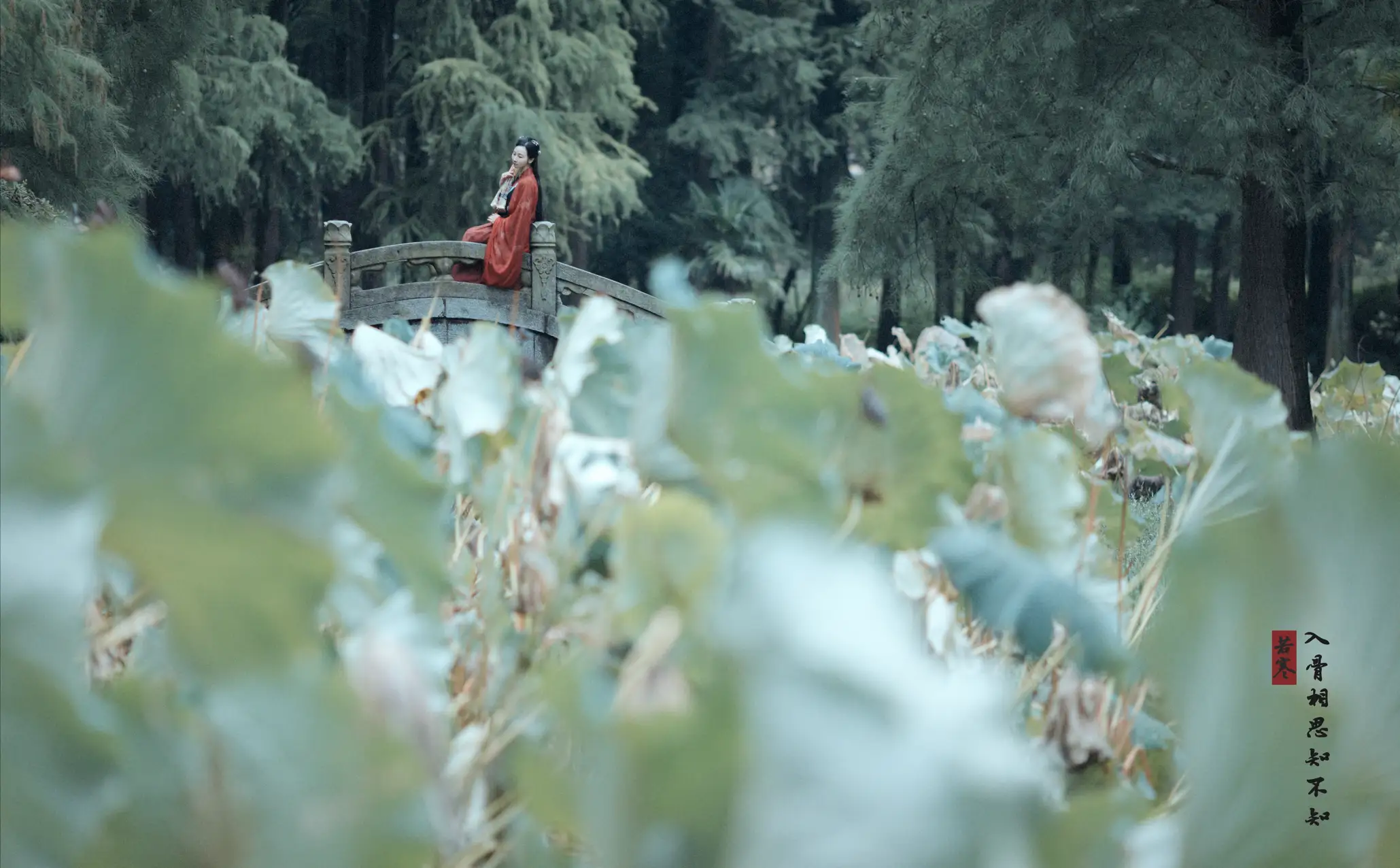 [艺图语] 2021.08.31 Vol.204 – 入骨相思 唱小游#[30P]-3