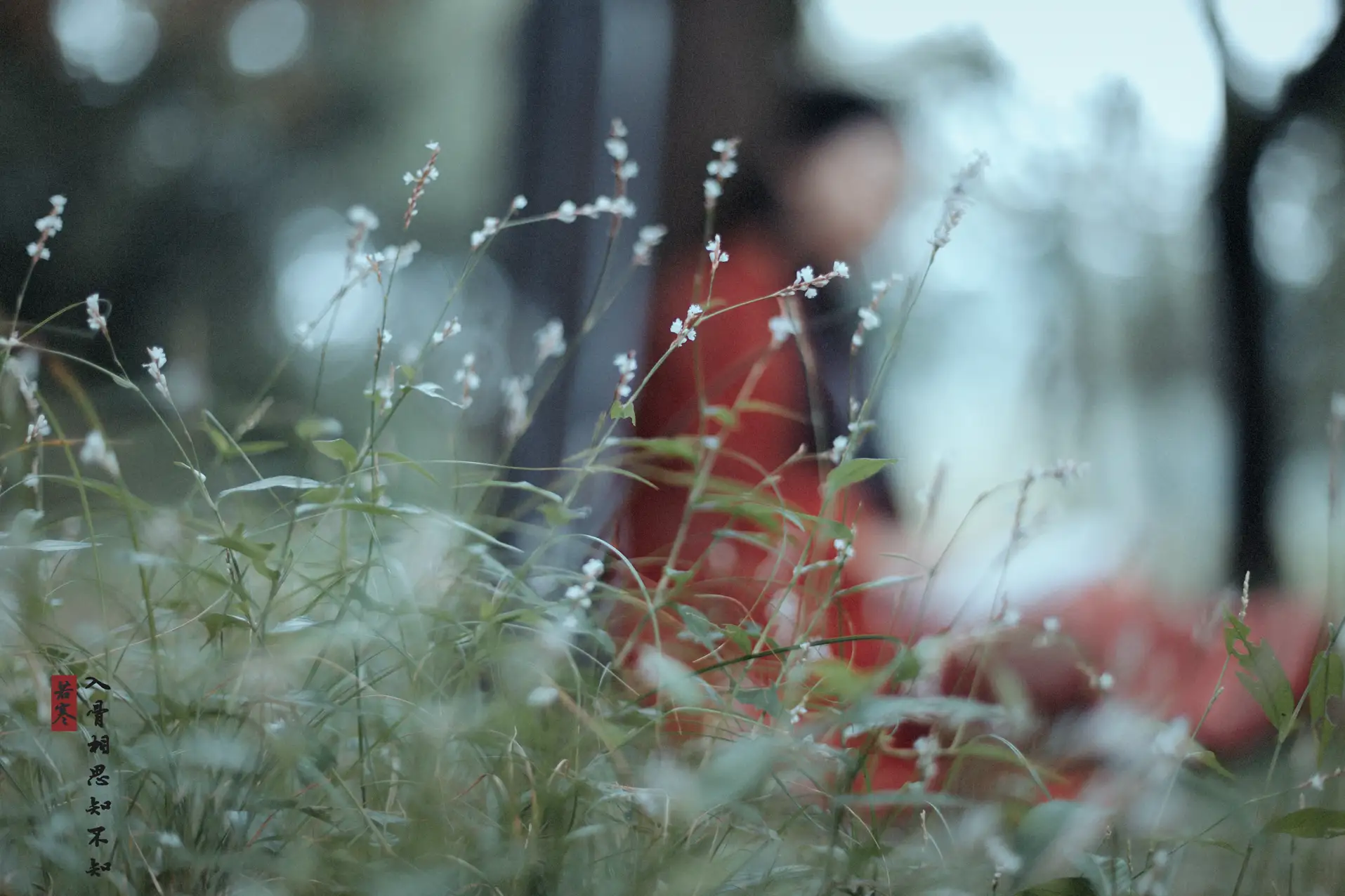 [艺图语] 2021.08.31 Vol.204 – 入骨相思 唱小游#[30P]-4