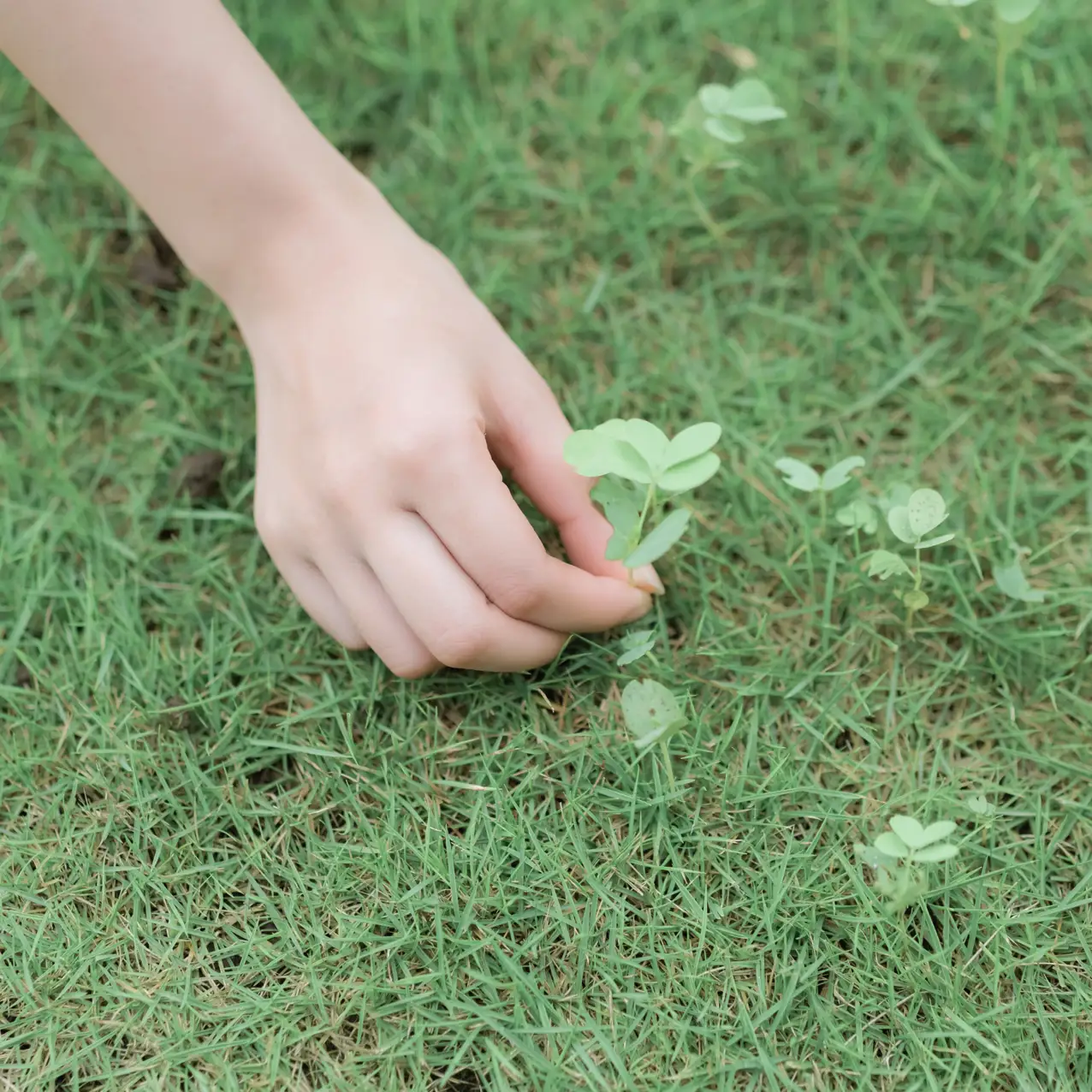 [艺图语] 2021.09.01 Vol.209 – 夏日雨后 三重子#[32P]-1