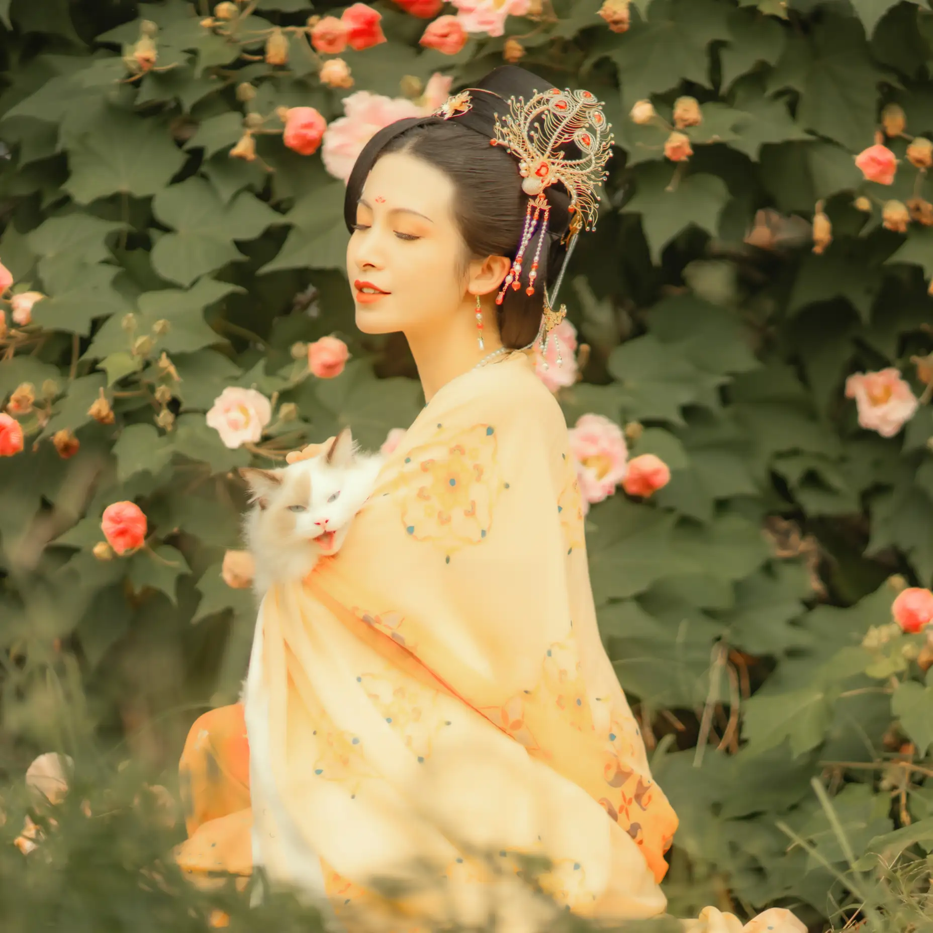 [艺图语] 2021.11.18 Vol.455 – 芙蓉词 修水凝花#[38P]-2