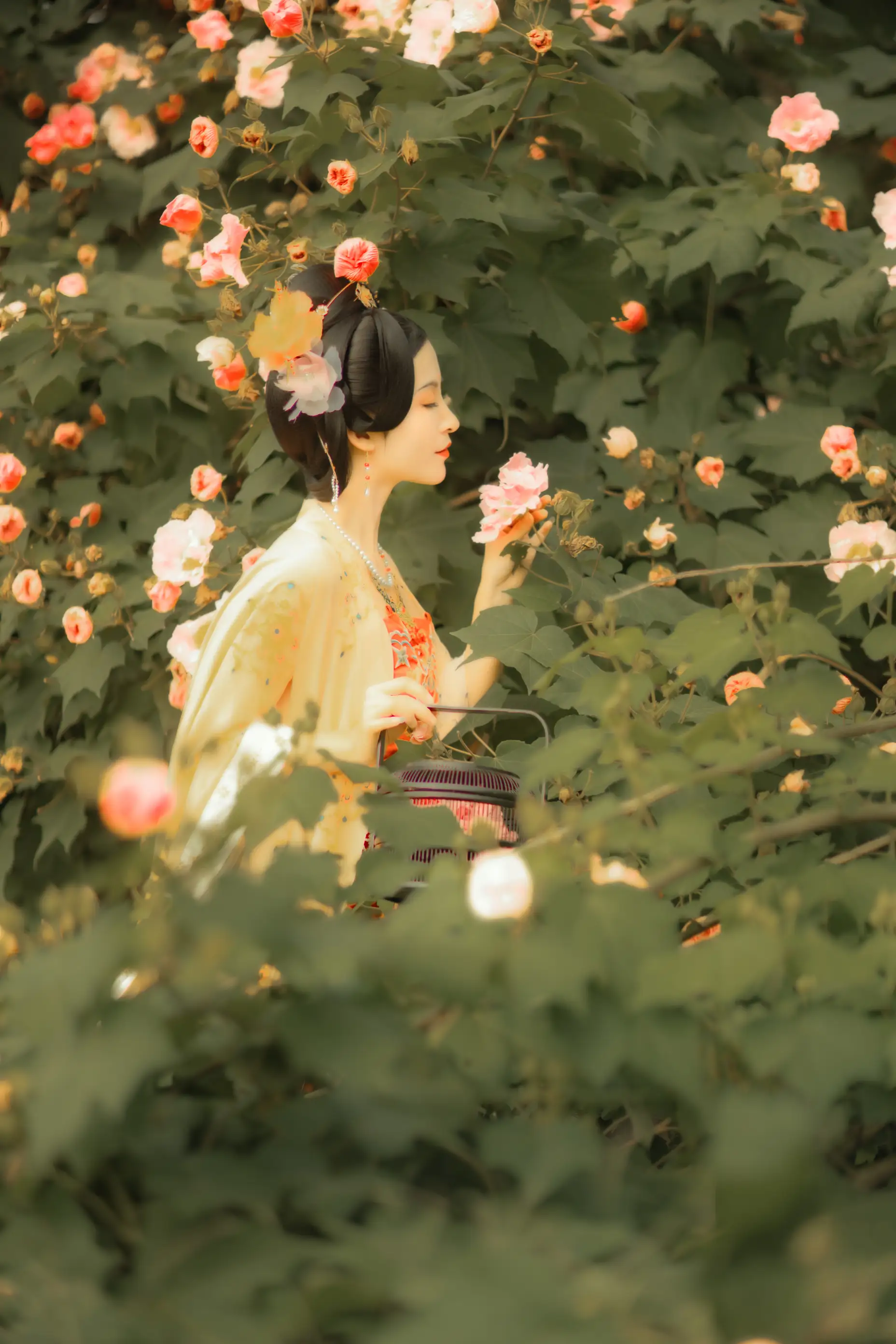 [艺图语] 2021.11.18 Vol.455 – 芙蓉词 修水凝花#[38P]-4