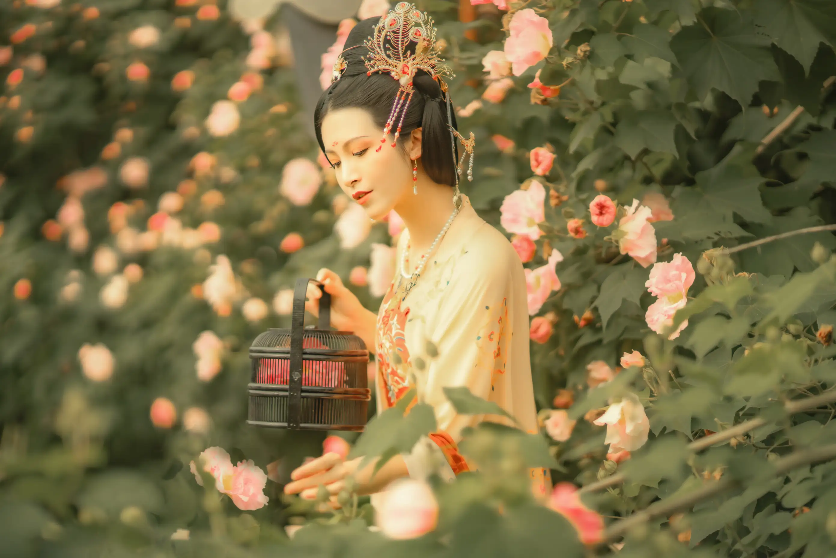 [艺图语] 2021.11.18 Vol.455 – 芙蓉词 修水凝花#[38P]-5