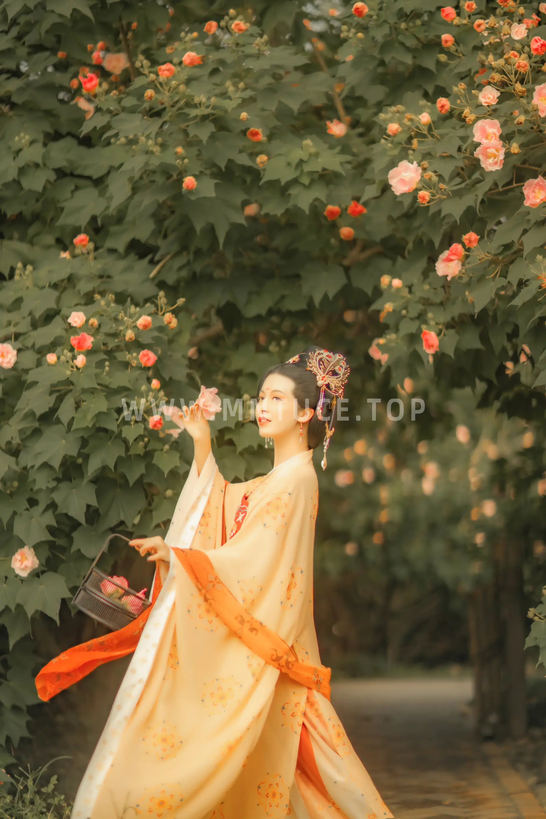 [艺图语] 2021.11.18 Vol.455 – 芙蓉词 修水凝花#[38P]-9