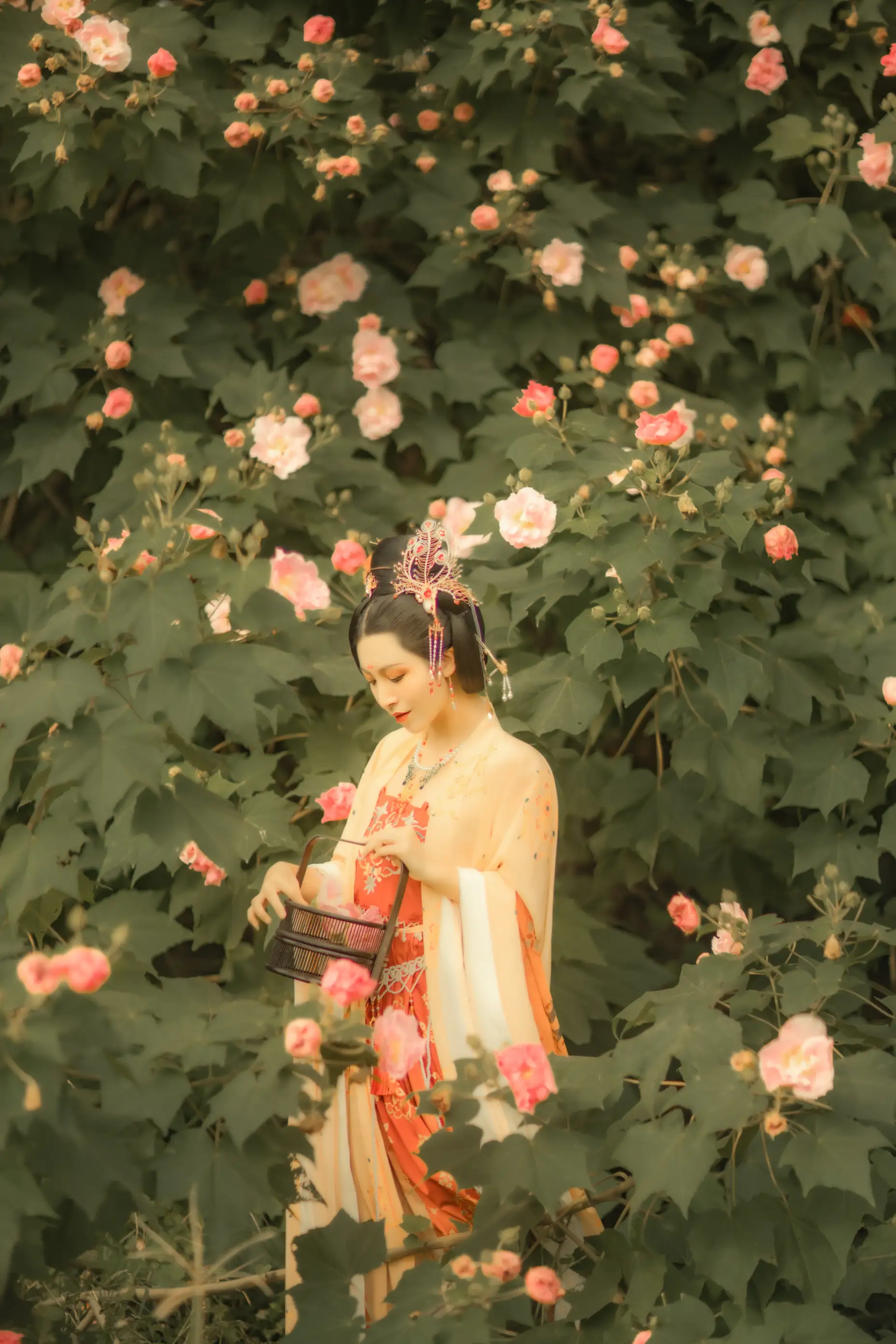 [艺图语] 2021.11.18 Vol.455 – 芙蓉词 修水凝花#[38P]-10