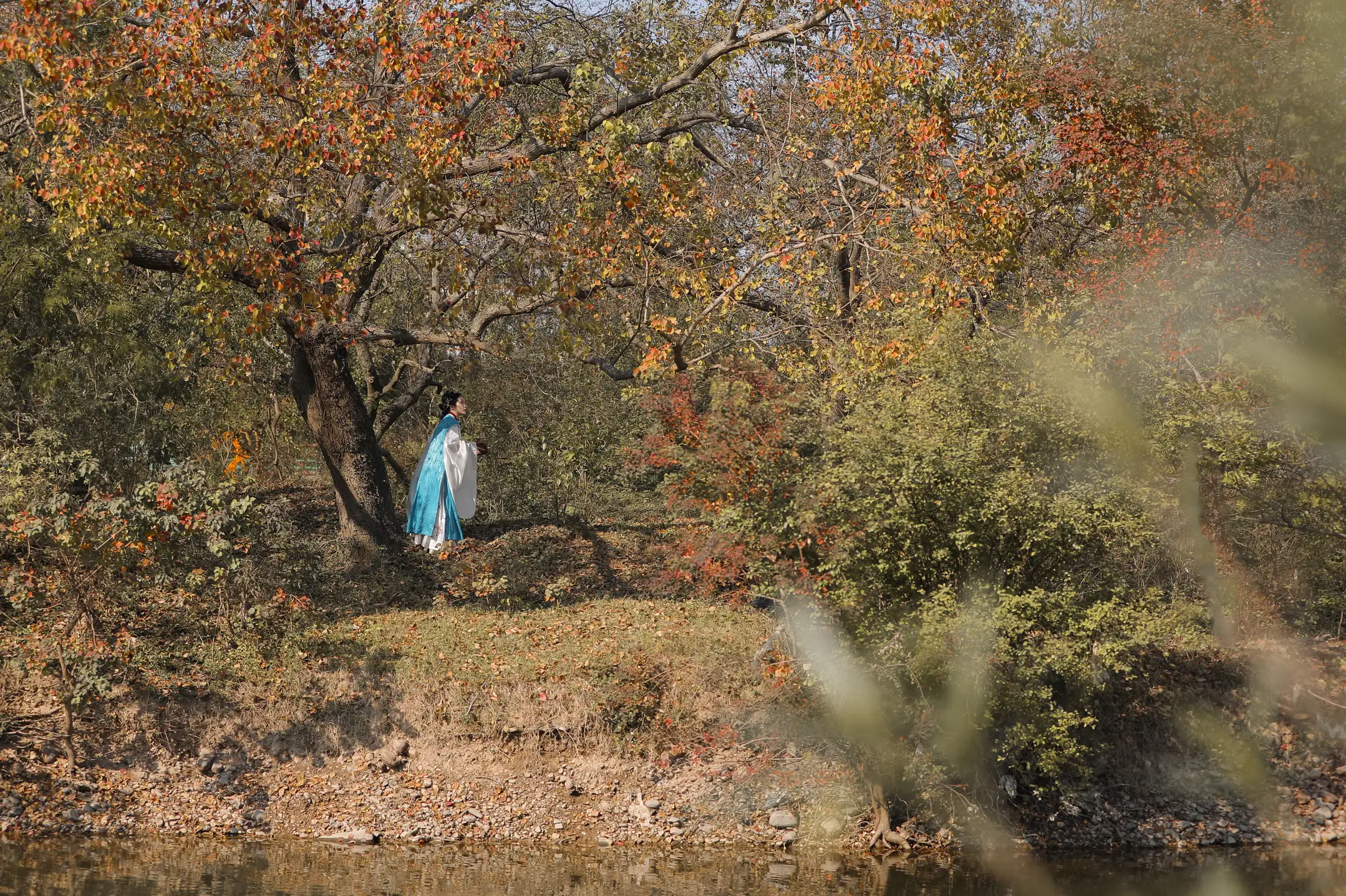 [艺图语] 2022.06.30 Vol.1331 – 秋思 沉诗思#[21P]-10