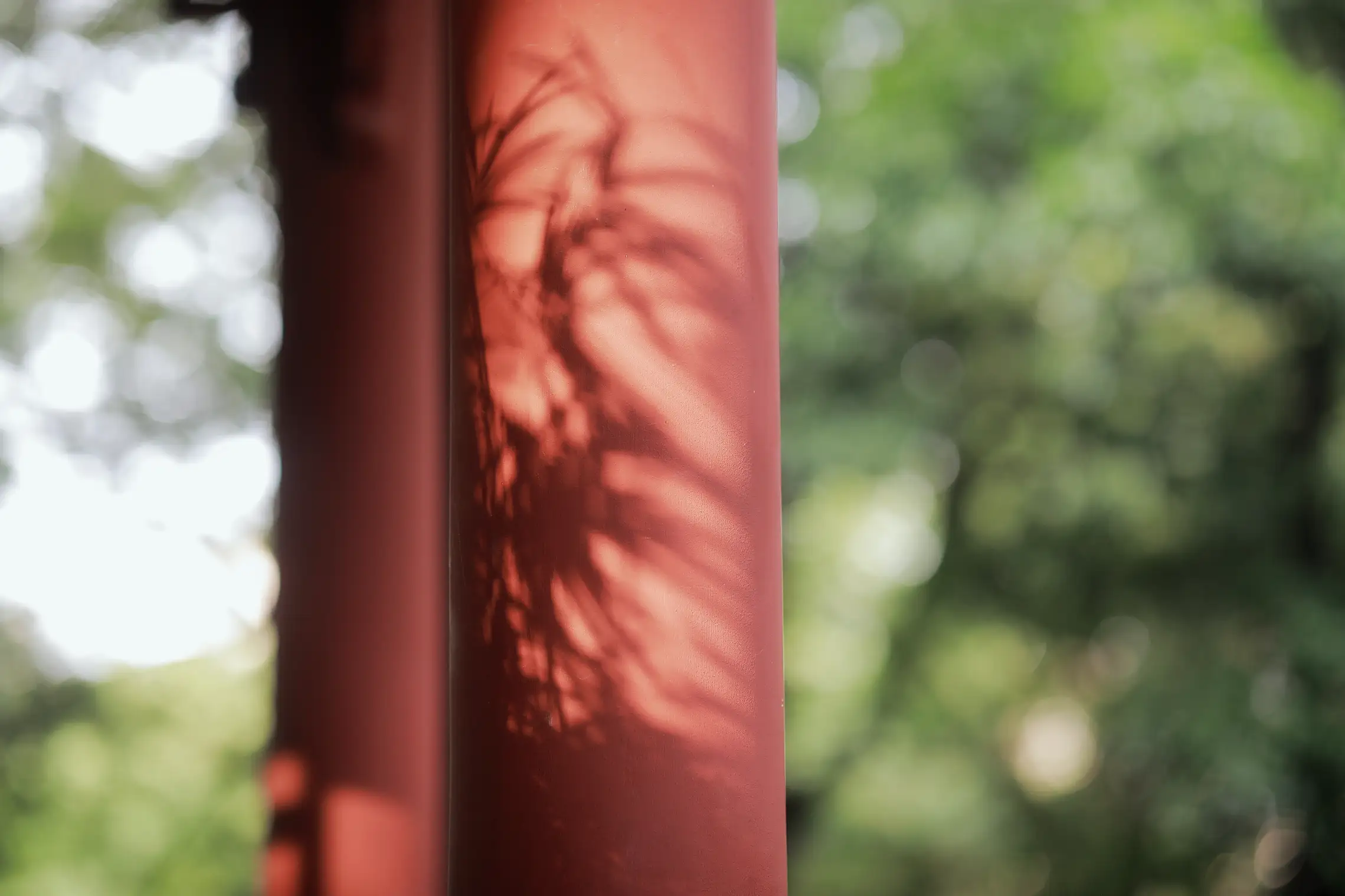 [艺图语] 2022.05.11 Vol.852 – 山居煎茶 嘉仪#[22P]-5