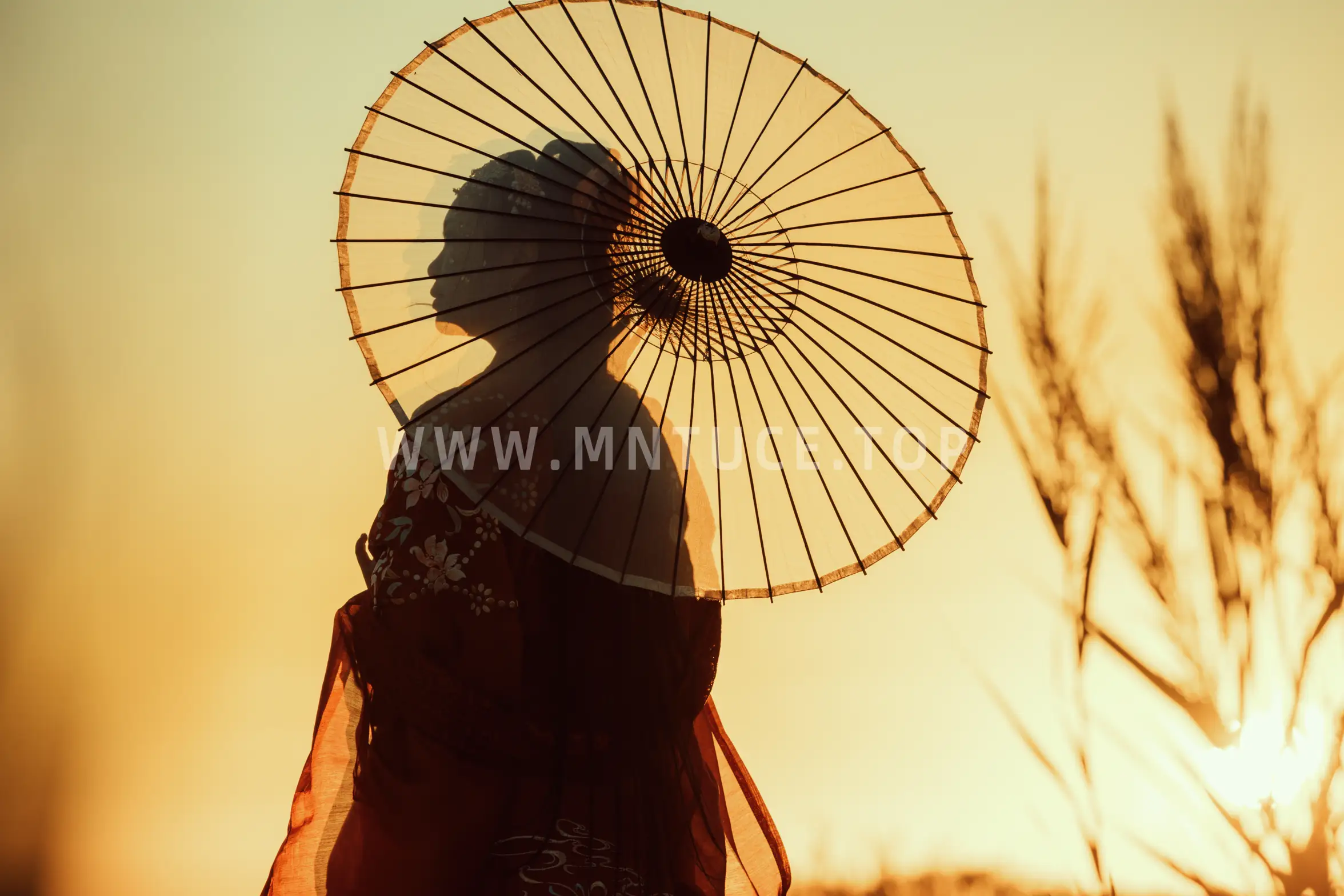 [艺图语] 2021.08.17 Vol.142 – 西洲 碧山#[22P]-8