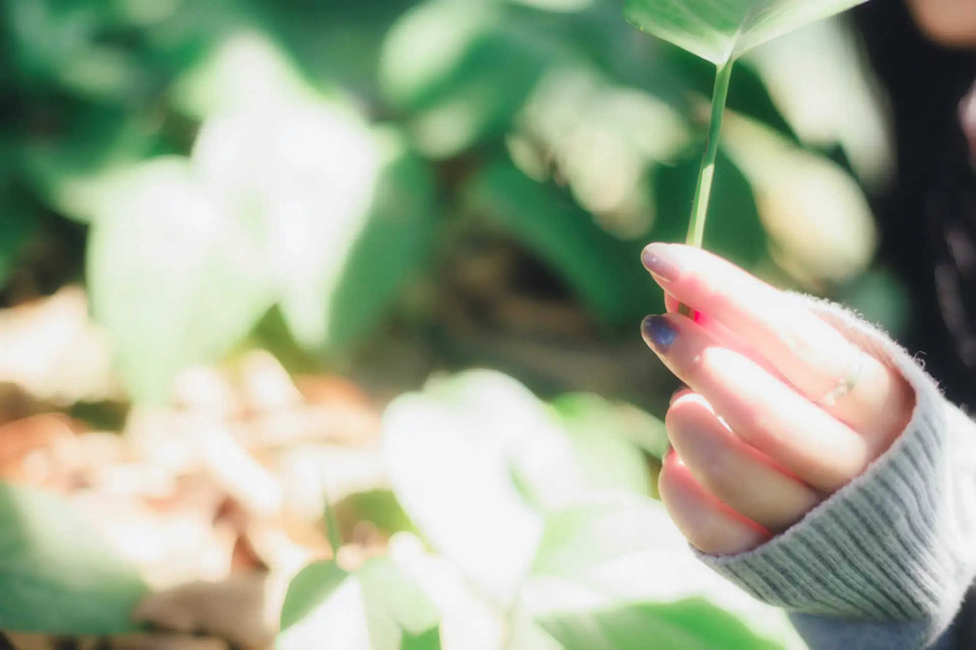 [艺图语] 2021.08.26 Vol.179 – 午后阳光 三重子#[42P]-2