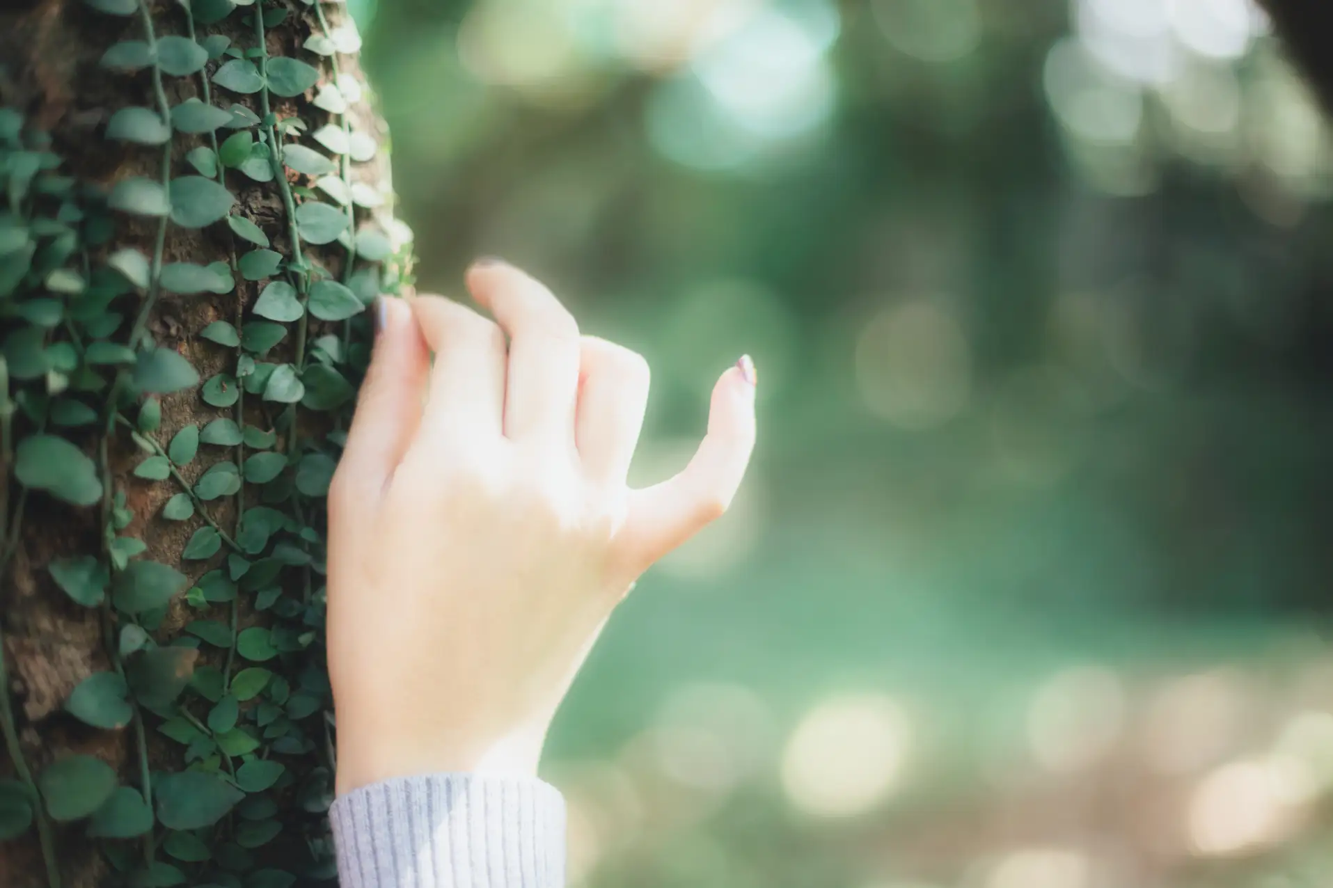 [艺图语] 2021.08.26 Vol.179 – 午后阳光 三重子#[42P]-7