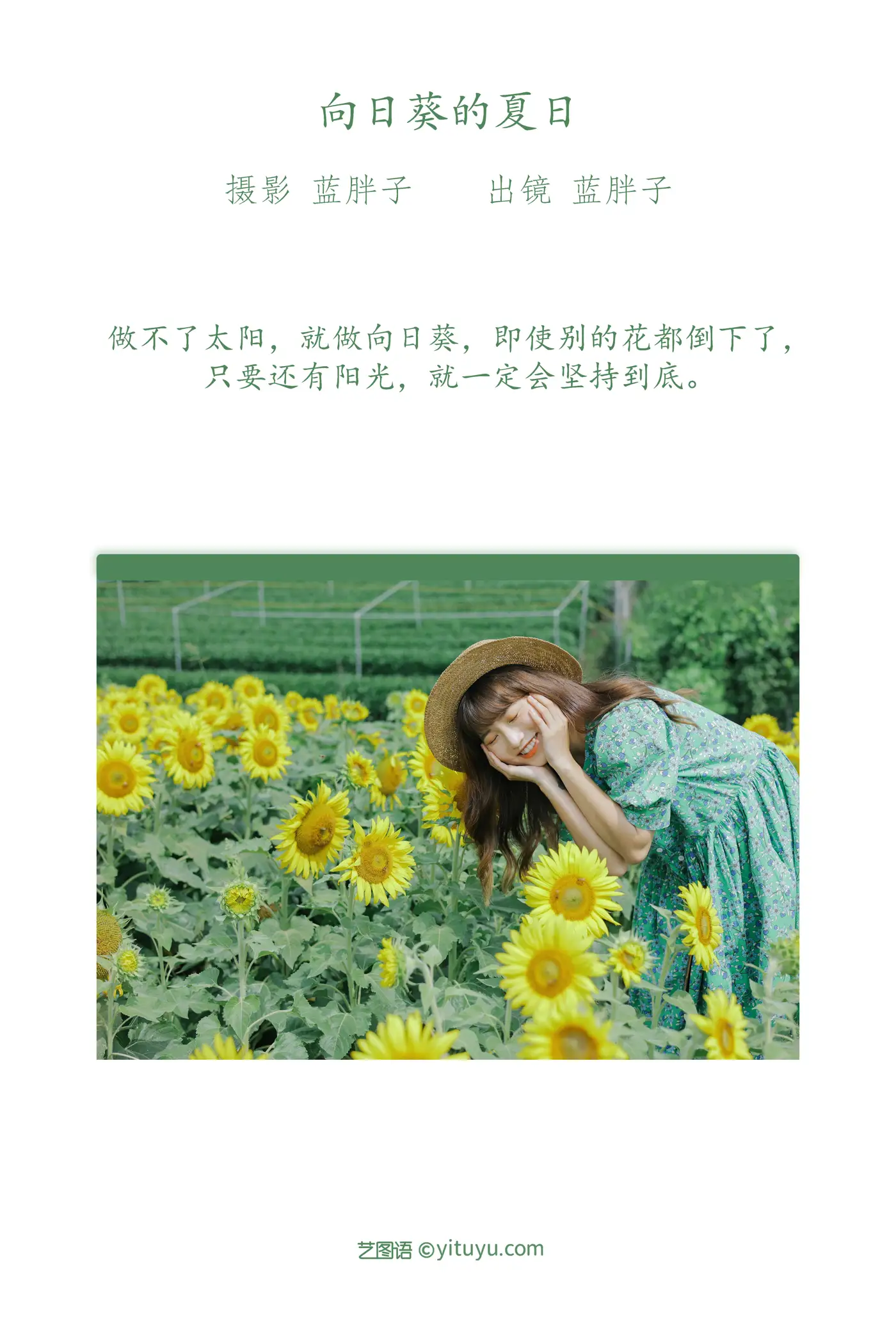 [艺图语] 2022.07.12 Vol.1458 – 向日葵的夏日 蓝胖子-#[33P]-2