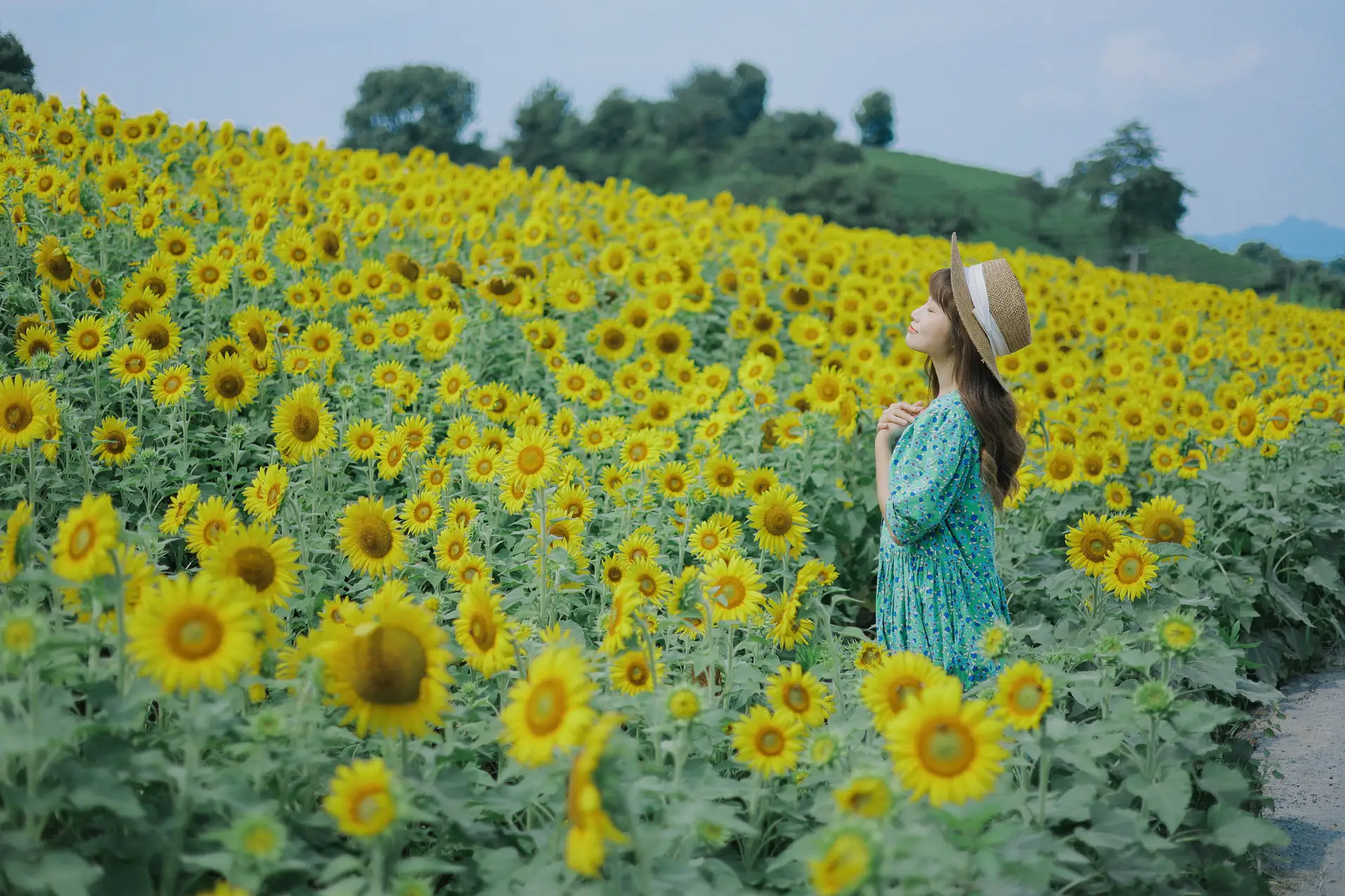 [艺图语] 2022.07.12 Vol.1458 – 向日葵的夏日 蓝胖子-#[33P]-3