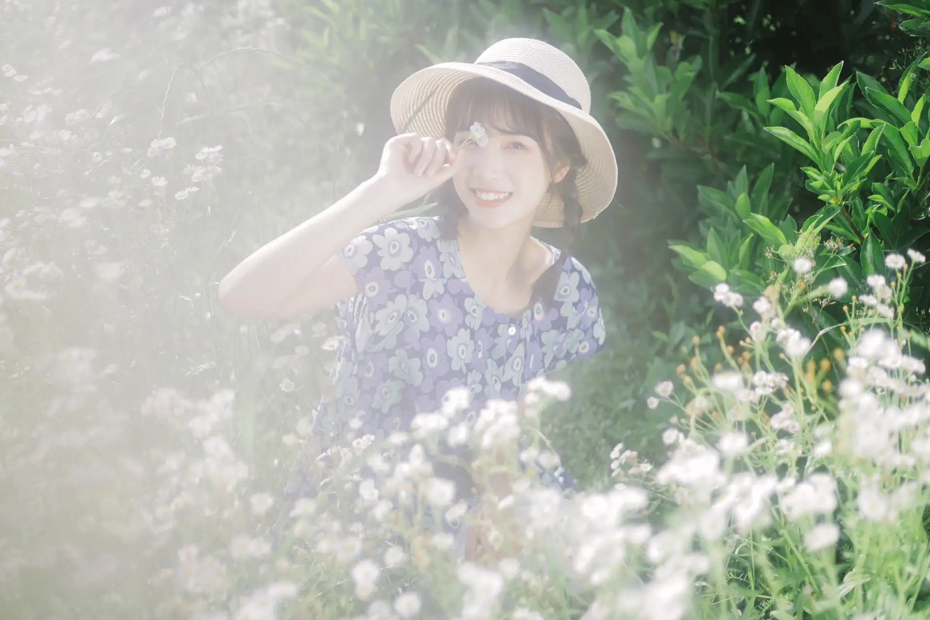 [艺图语] 2022.07.06 Vol.1393 – 初夏的花海 一只阿梦崽#[35P]-5