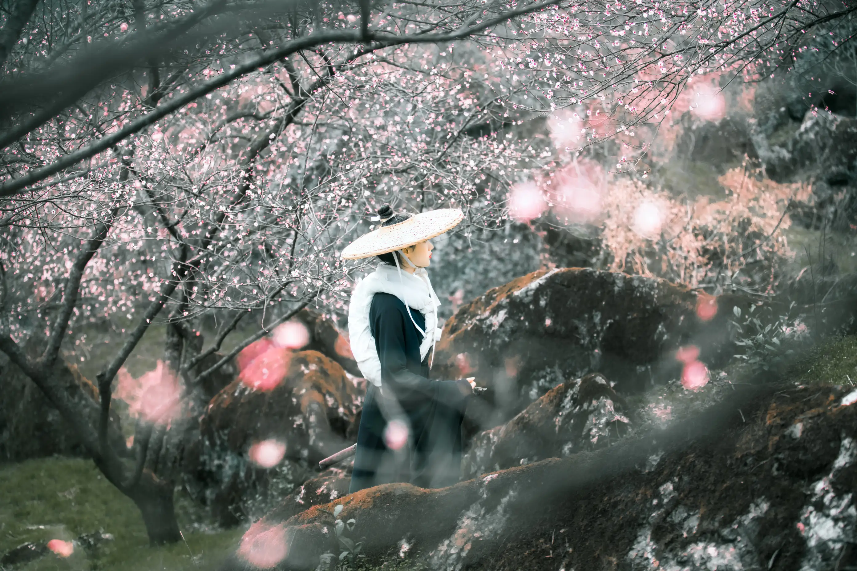 [艺图语] 2021.12.16 Vol.495 – 少年歌 初茶#[39P]-1