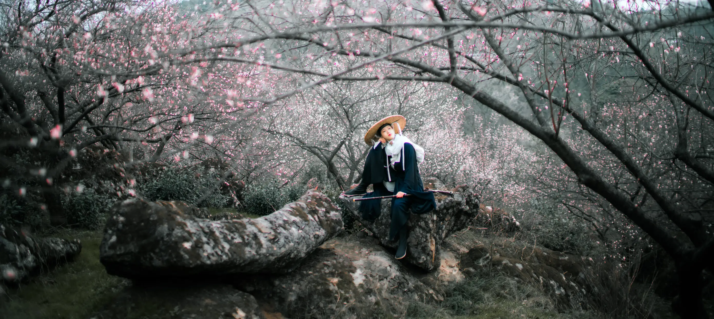 [艺图语] 2021.12.16 Vol.495 – 少年歌 初茶#[39P]-2