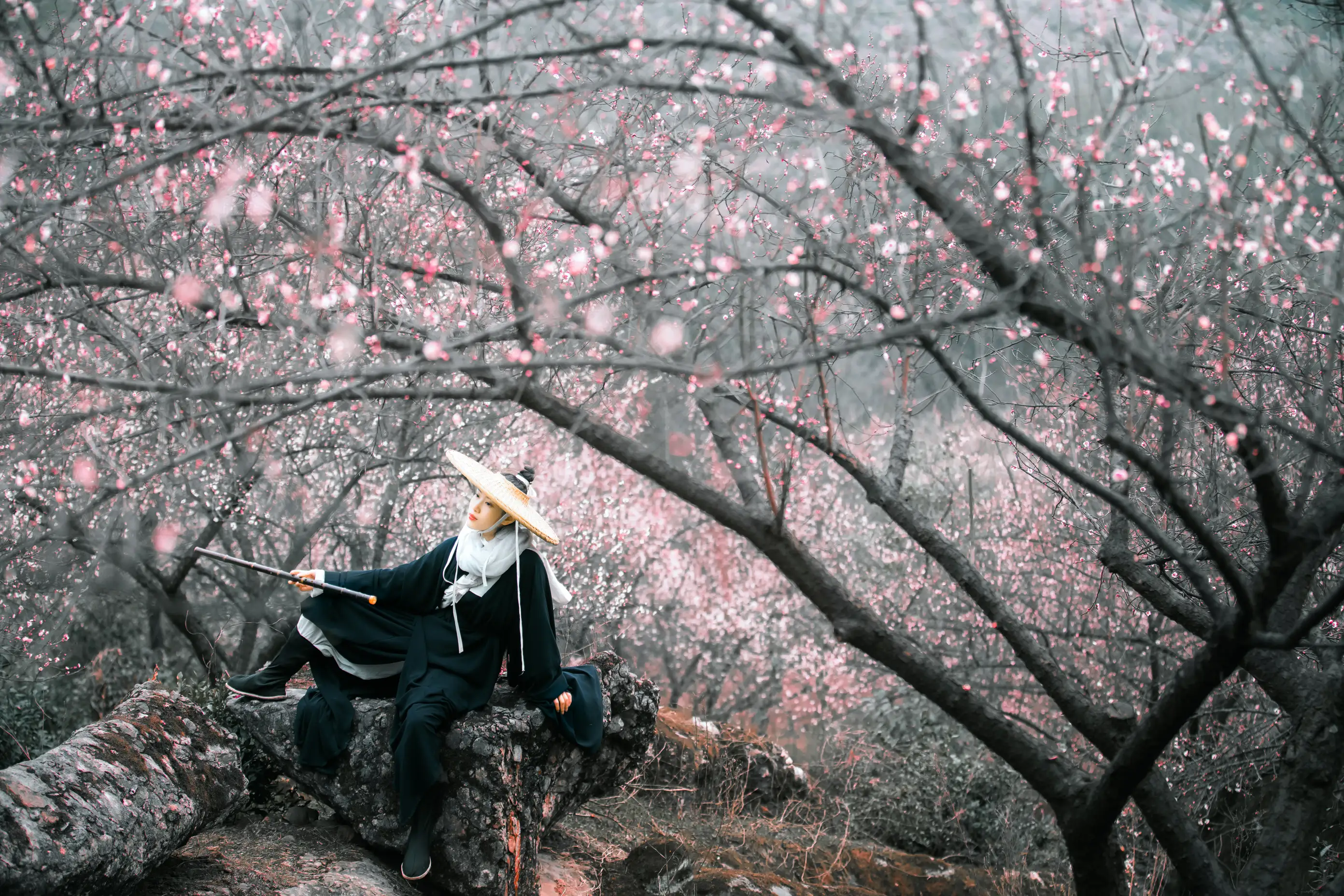 [艺图语] 2021.12.16 Vol.495 – 少年歌 初茶#[39P]-4