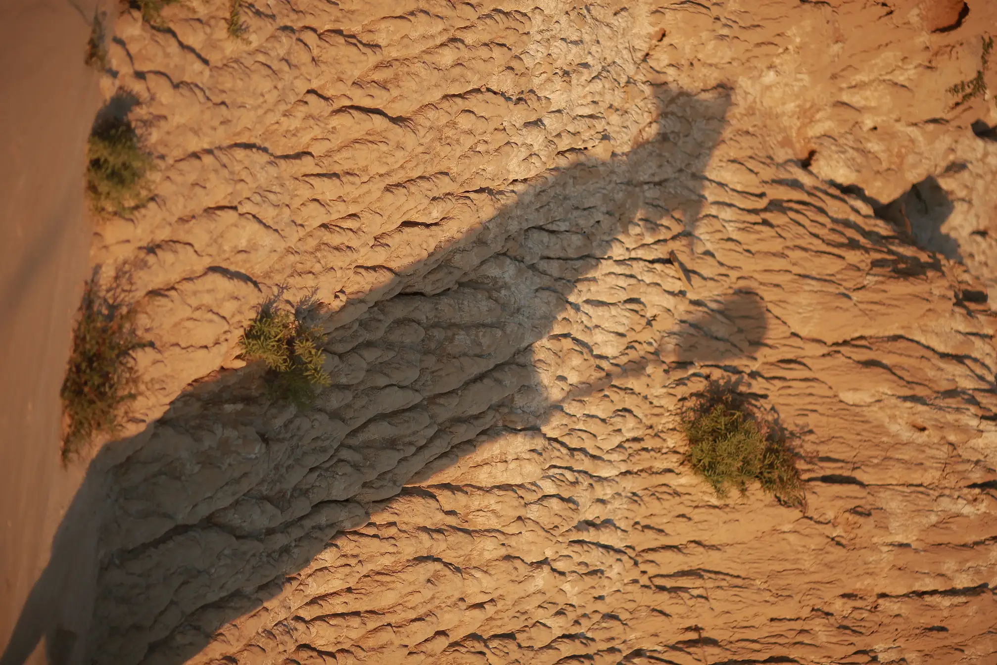 [艺图语] 2021.09.22 Vol.308 – 行者 马崇道#[28P]-5