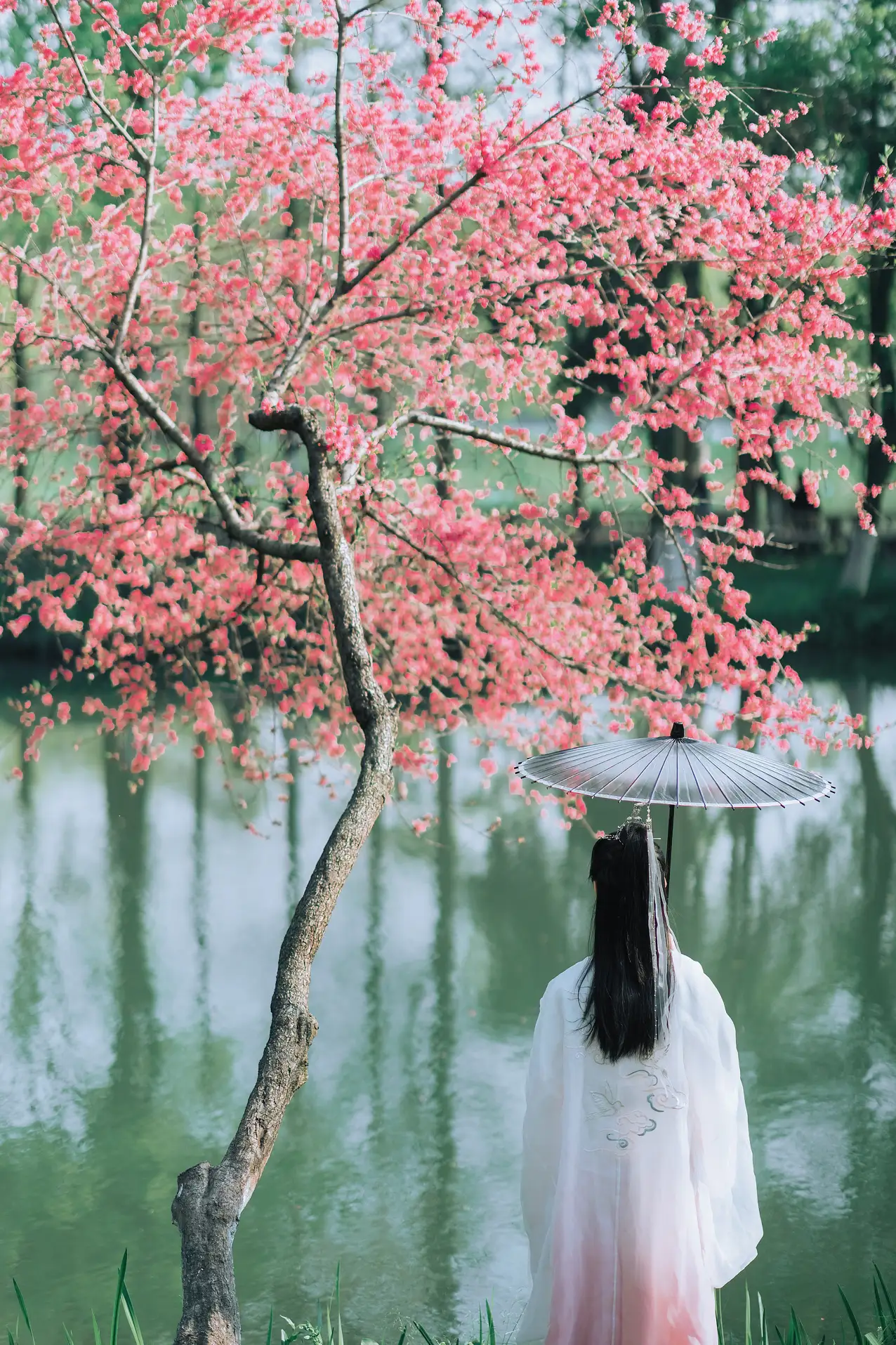 [艺图语] 2022.06.23 Vol.1262 – 别君后 九卿ikame#[22P]-8