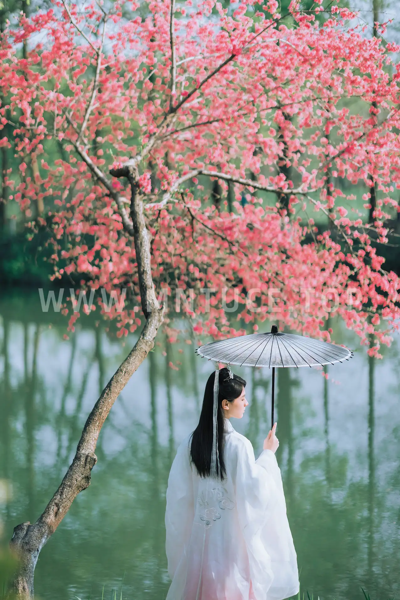 [艺图语] 2022.06.23 Vol.1262 – 别君后 九卿ikame#[22P]-9