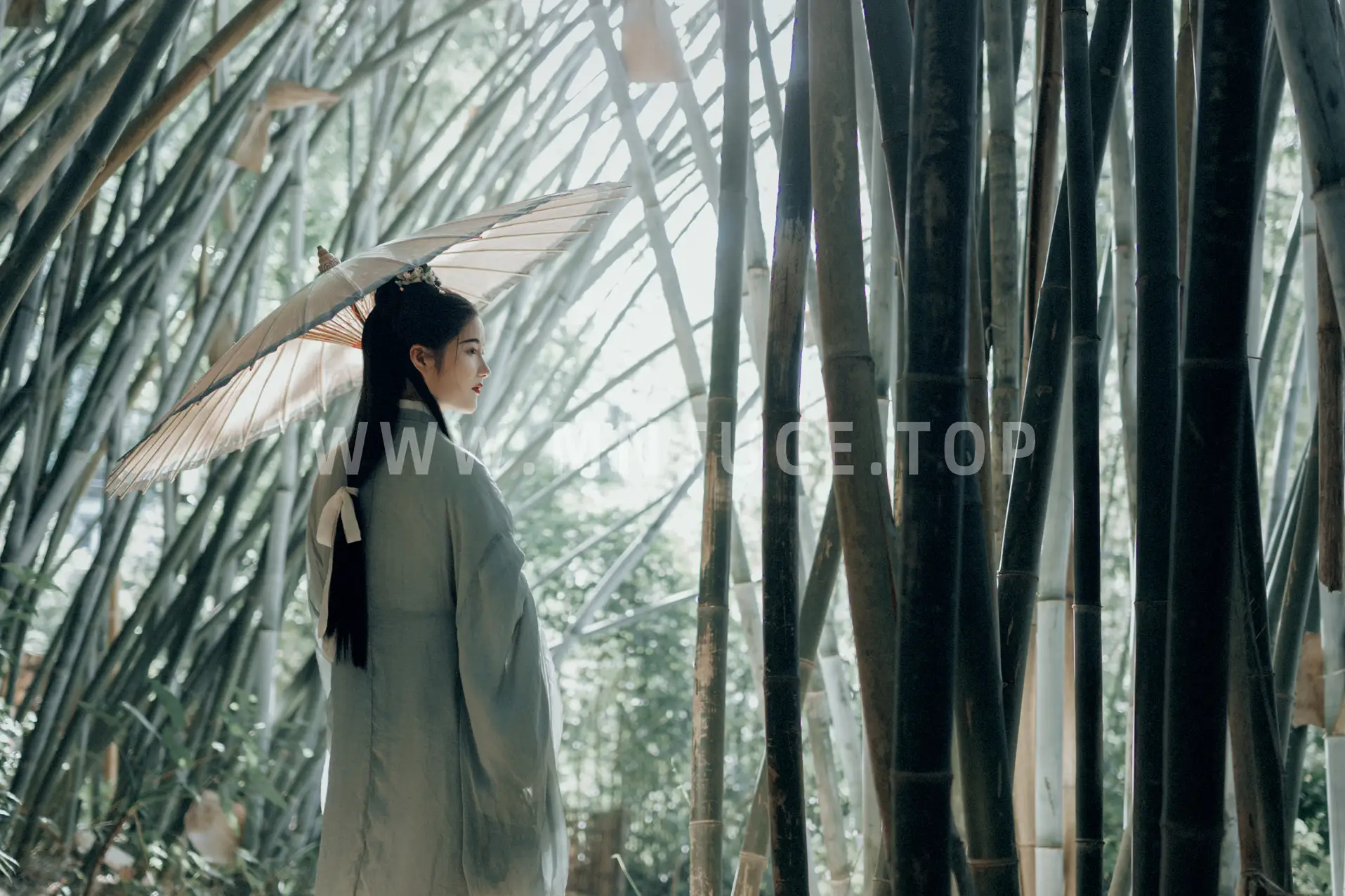 [艺图语] 2022.01.01 Vol.571 – 竹间影 梦南#[21P]-9