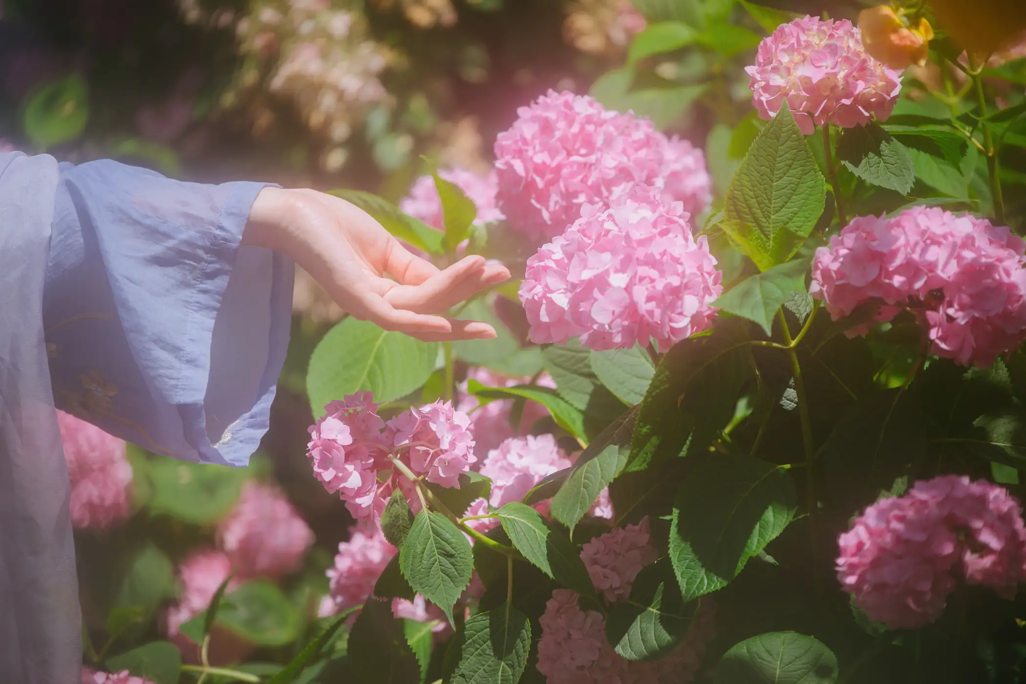 [艺图语] 2022.05.27 Vol.1007 – 织画 木景抒#[28P]-3