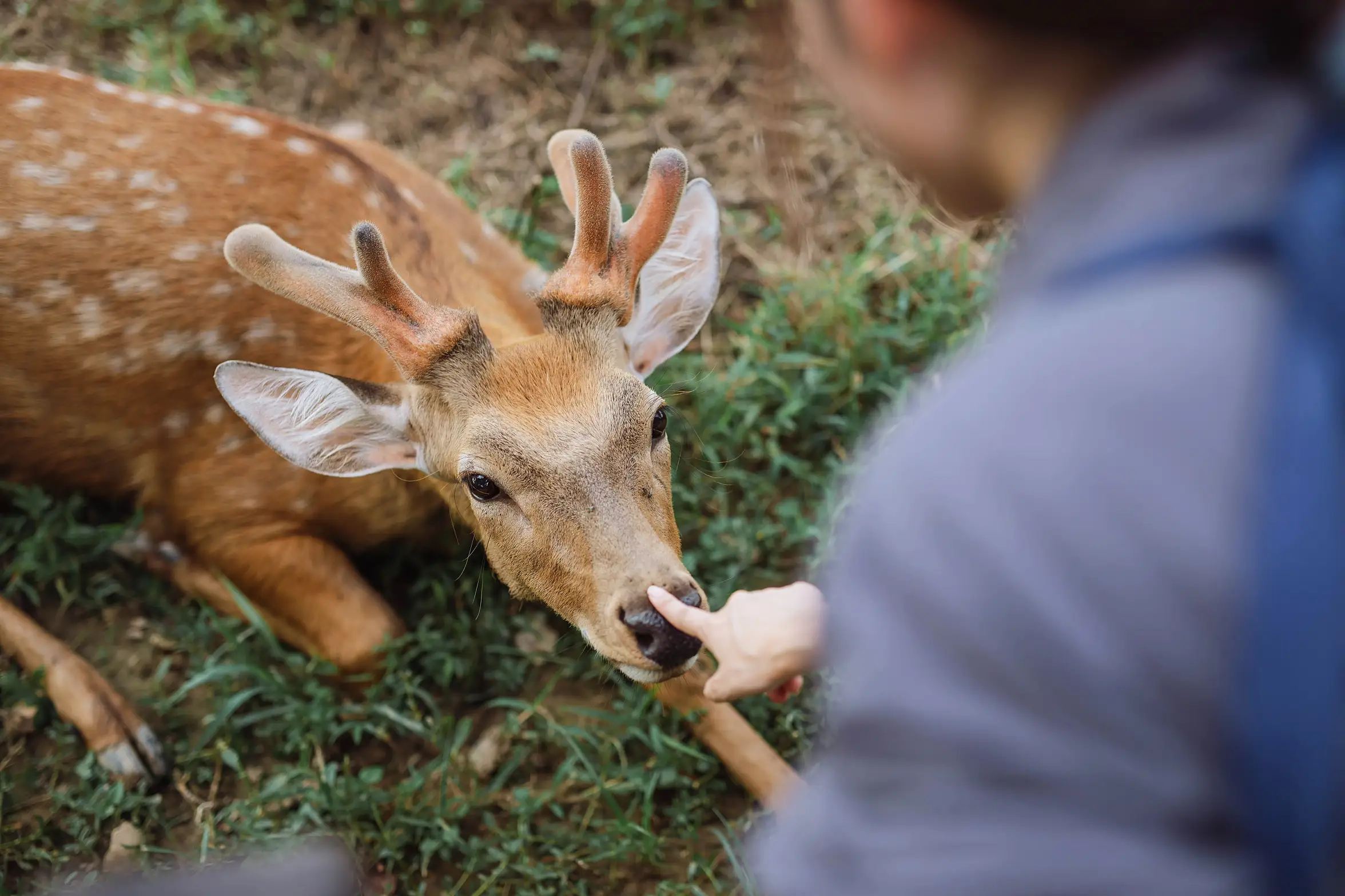 [艺图语] 2022.01.22 Vol.695 – 小千代 惠儿儿吖#[32P]-1