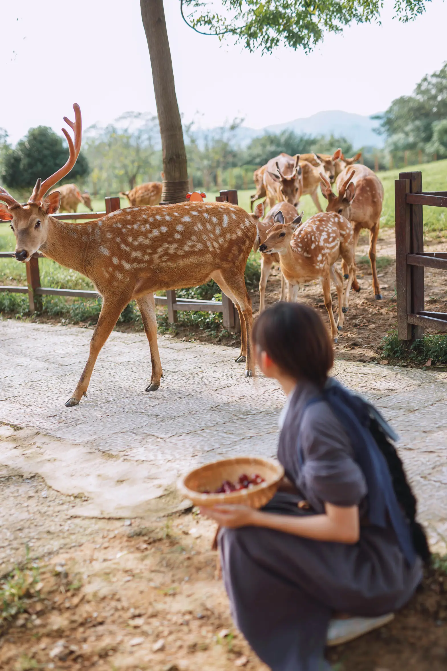 [艺图语] 2022.01.22 Vol.695 – 小千代 惠儿儿吖#[32P]-3