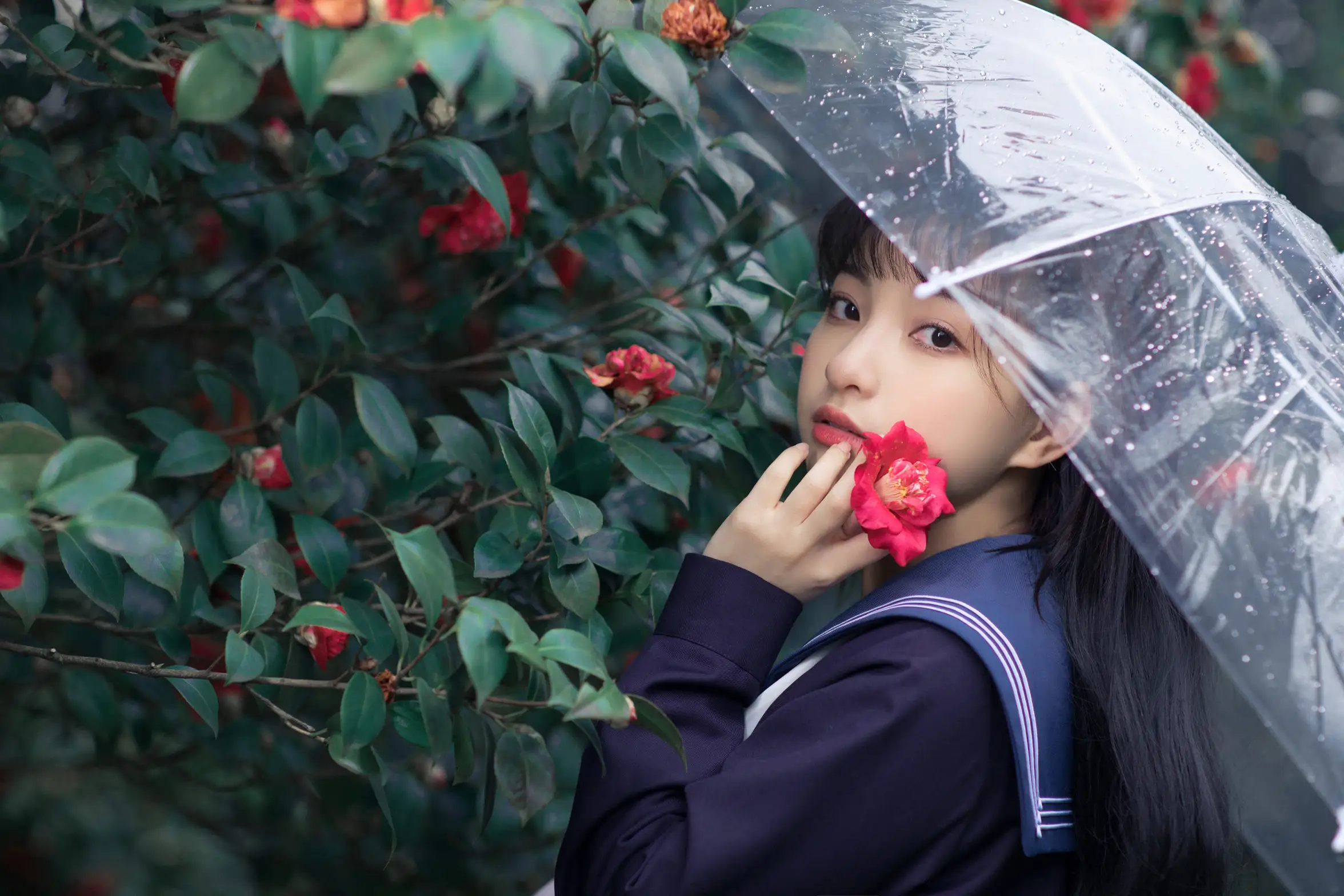 [艺图语] 2021.10.19 Vol.372 – 山茶 一千只大日日#[18P]-2