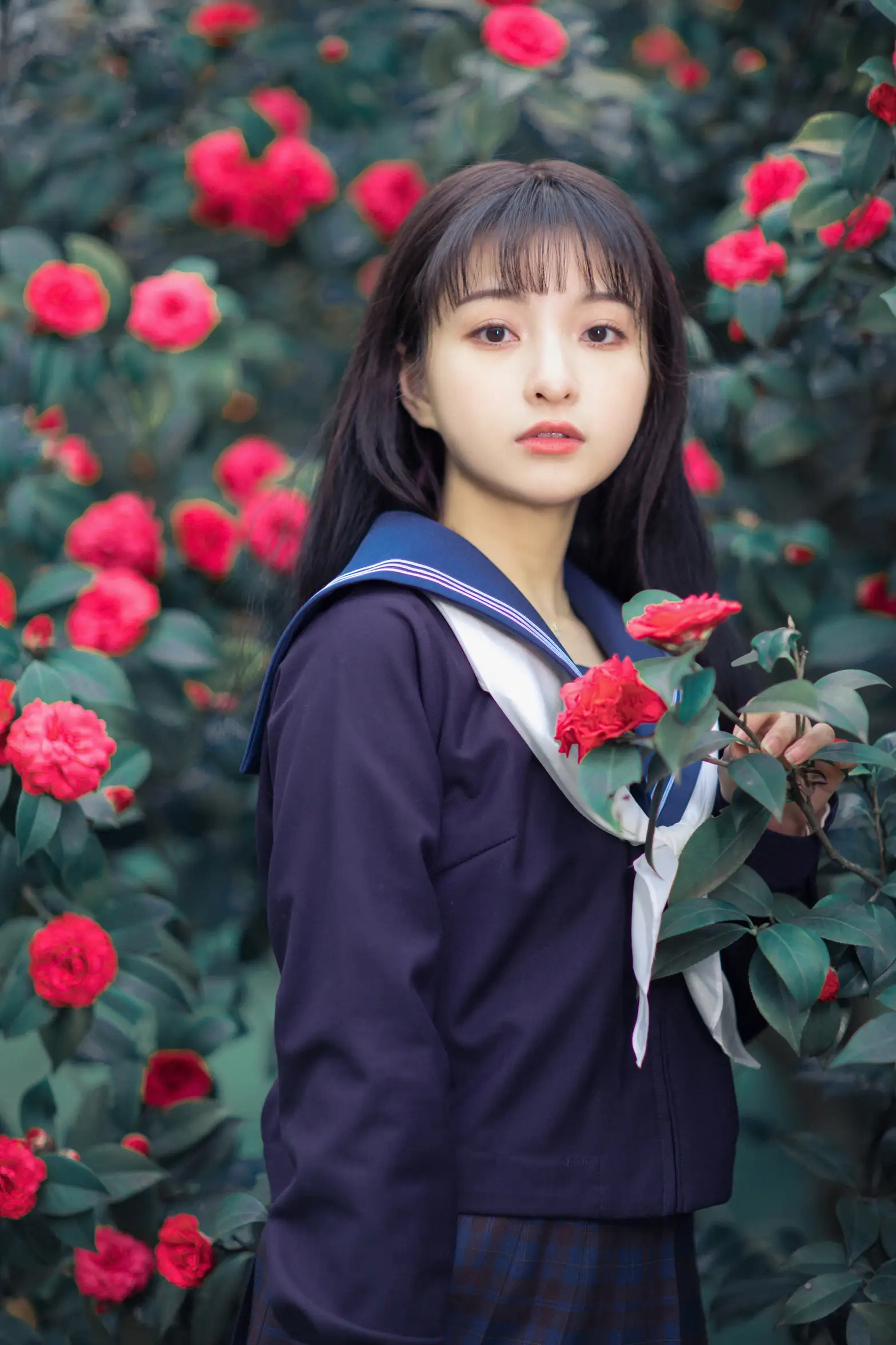 [艺图语] 2021.10.19 Vol.372 – 山茶 一千只大日日#[18P]-3