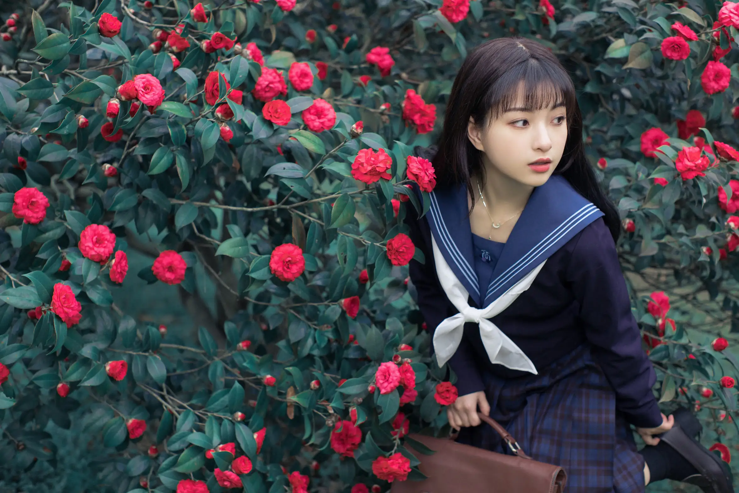 [艺图语] 2021.10.19 Vol.372 – 山茶 一千只大日日#[18P]-6