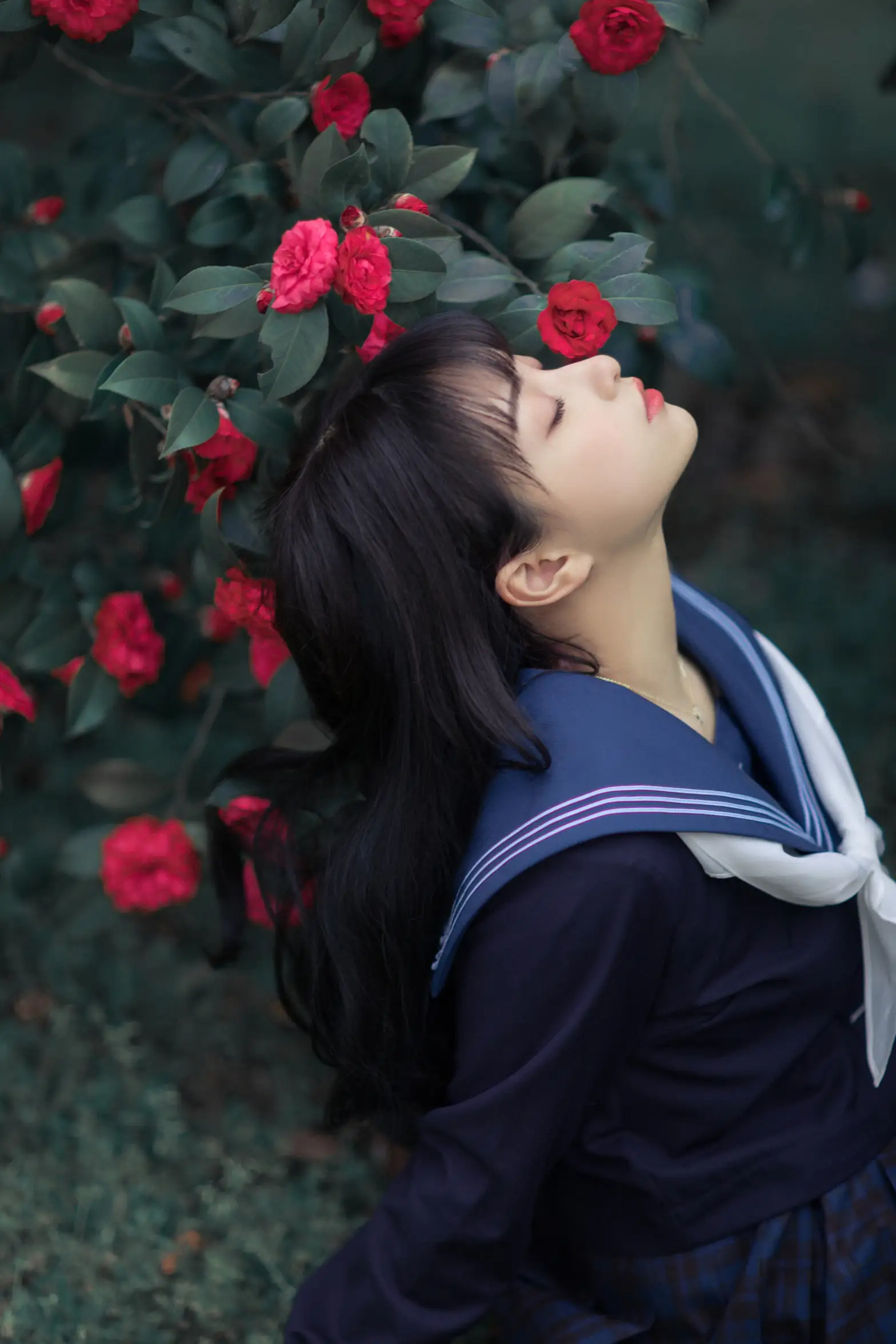 [艺图语] 2021.10.19 Vol.372 – 山茶 一千只大日日#[18P]-7