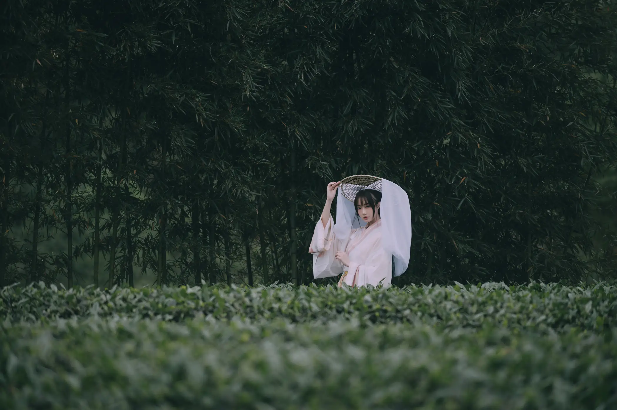 [艺图语] 2022.05.12 Vol.855 – 采茶东篱下 蹭饭#[20P]-10