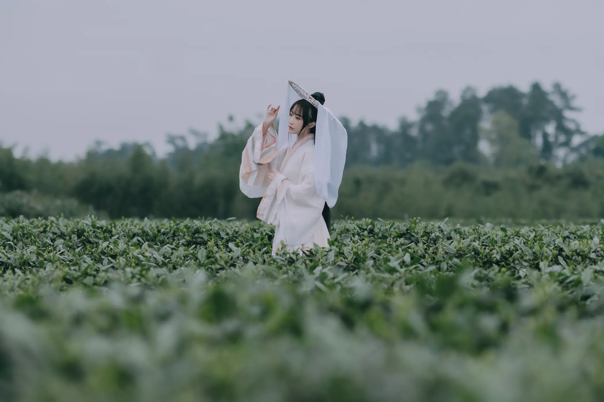 [艺图语] 2022.05.12 Vol.855 – 采茶东篱下 蹭饭#[20P]-3