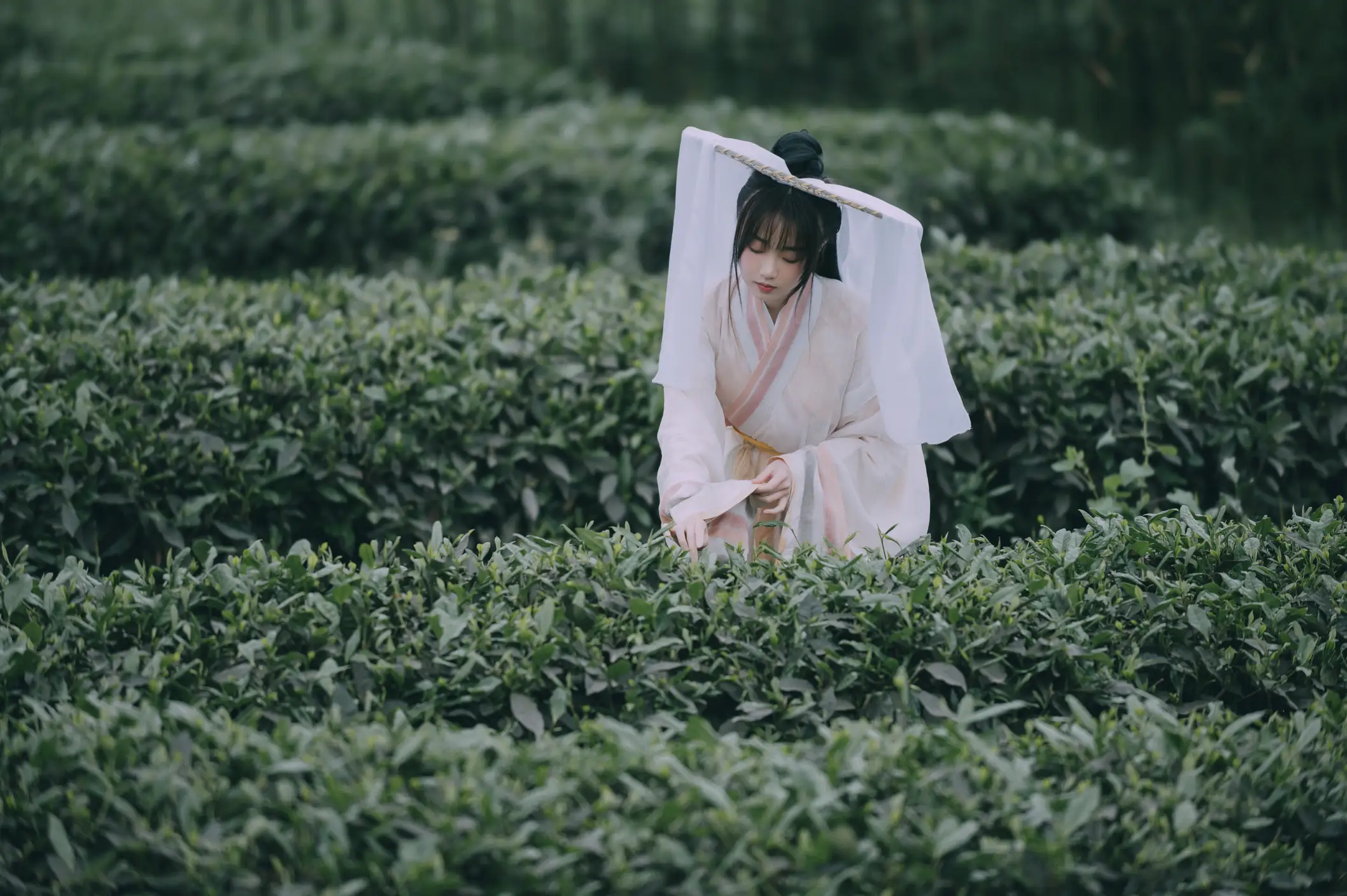 [艺图语] 2022.05.12 Vol.855 – 采茶东篱下 蹭饭#[20P]-4