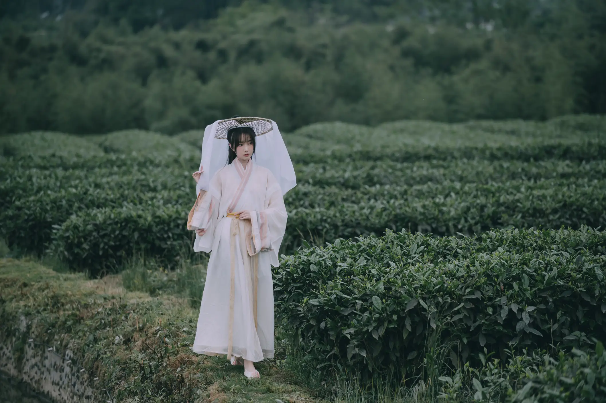 [艺图语] 2022.05.12 Vol.855 – 采茶东篱下 蹭饭#[20P]-5