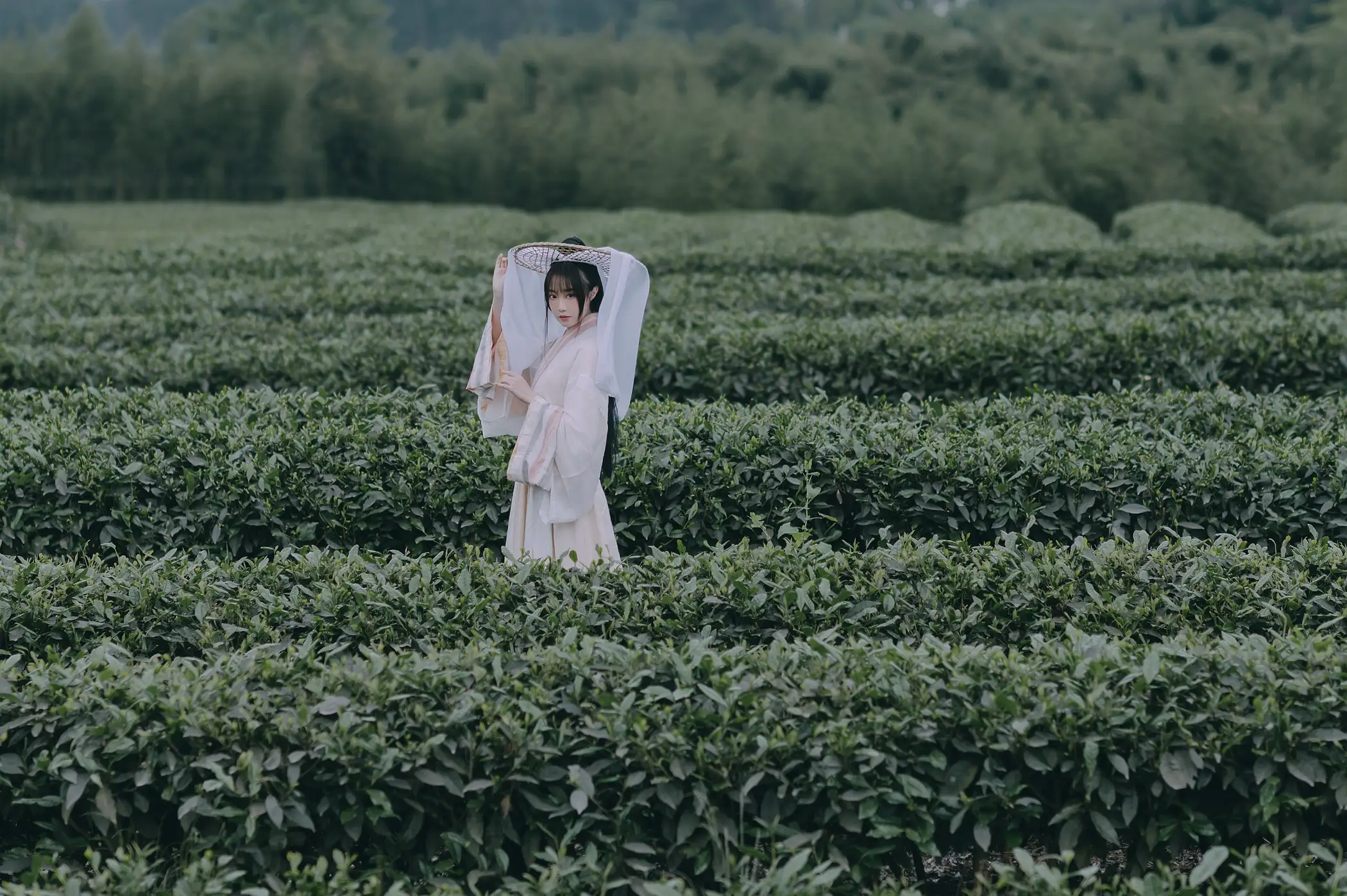 [艺图语] 2022.05.12 Vol.855 – 采茶东篱下 蹭饭#[20P]-3