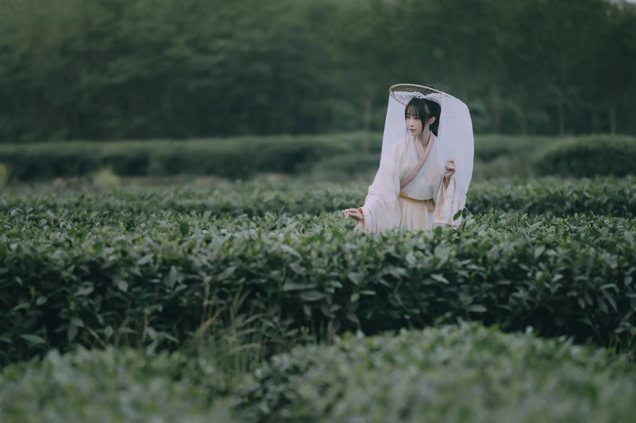 [艺图语] 2022.05.12 Vol.855 – 采茶东篱下 蹭饭#[20P]-6