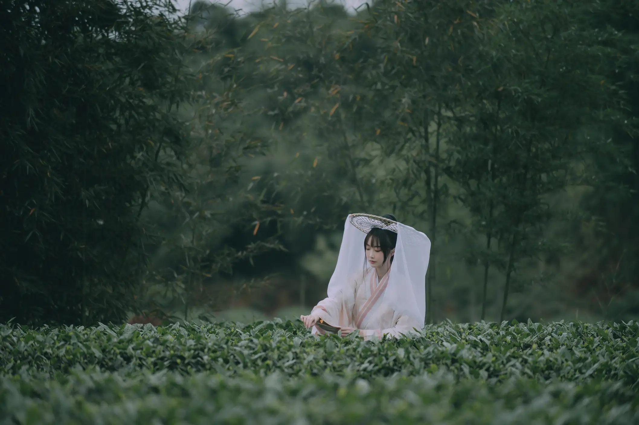 [艺图语] 2022.05.12 Vol.855 – 采茶东篱下 蹭饭#[20P]-9