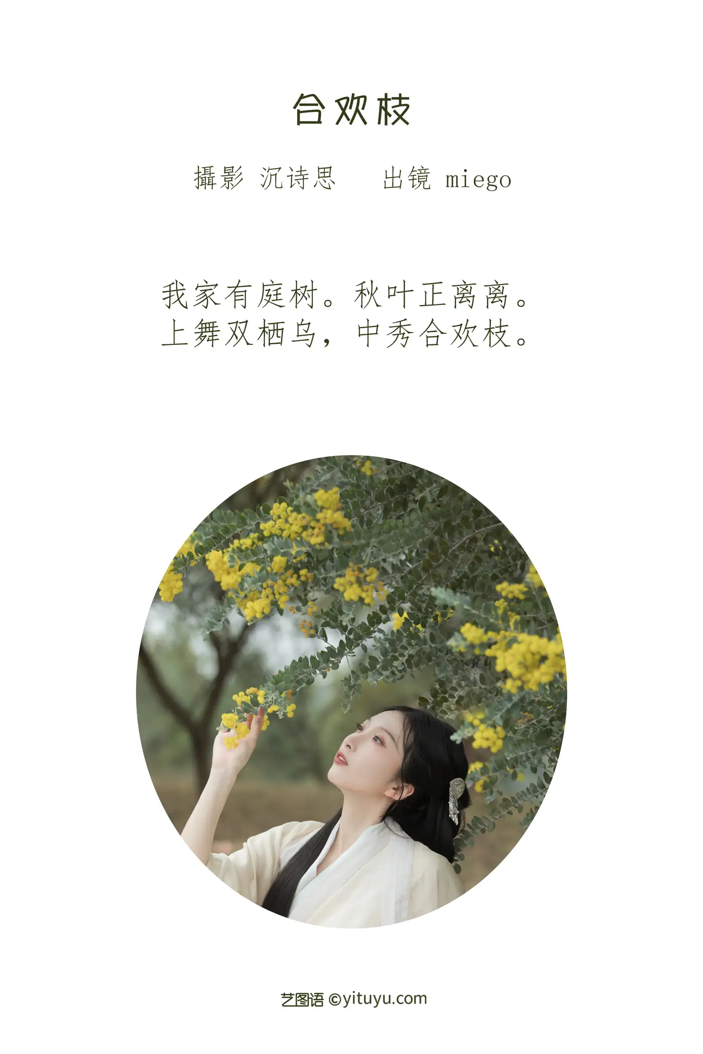 [艺图语] 2022.07.02 Vol.1352 – 合欢枝 miego#[22P]-2