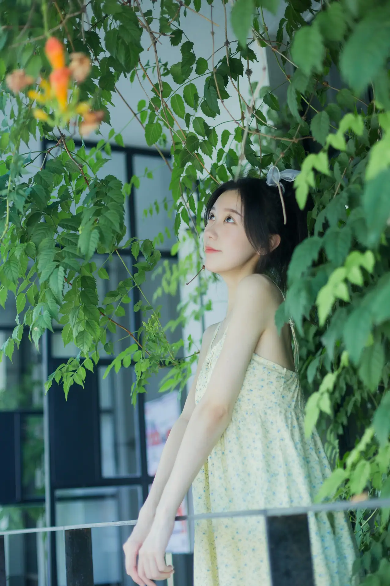 [艺图语] 2022.08.18 Vol.1732 – 夏日凌霄 饲猫少女 饲猫少女-#[33P]-1