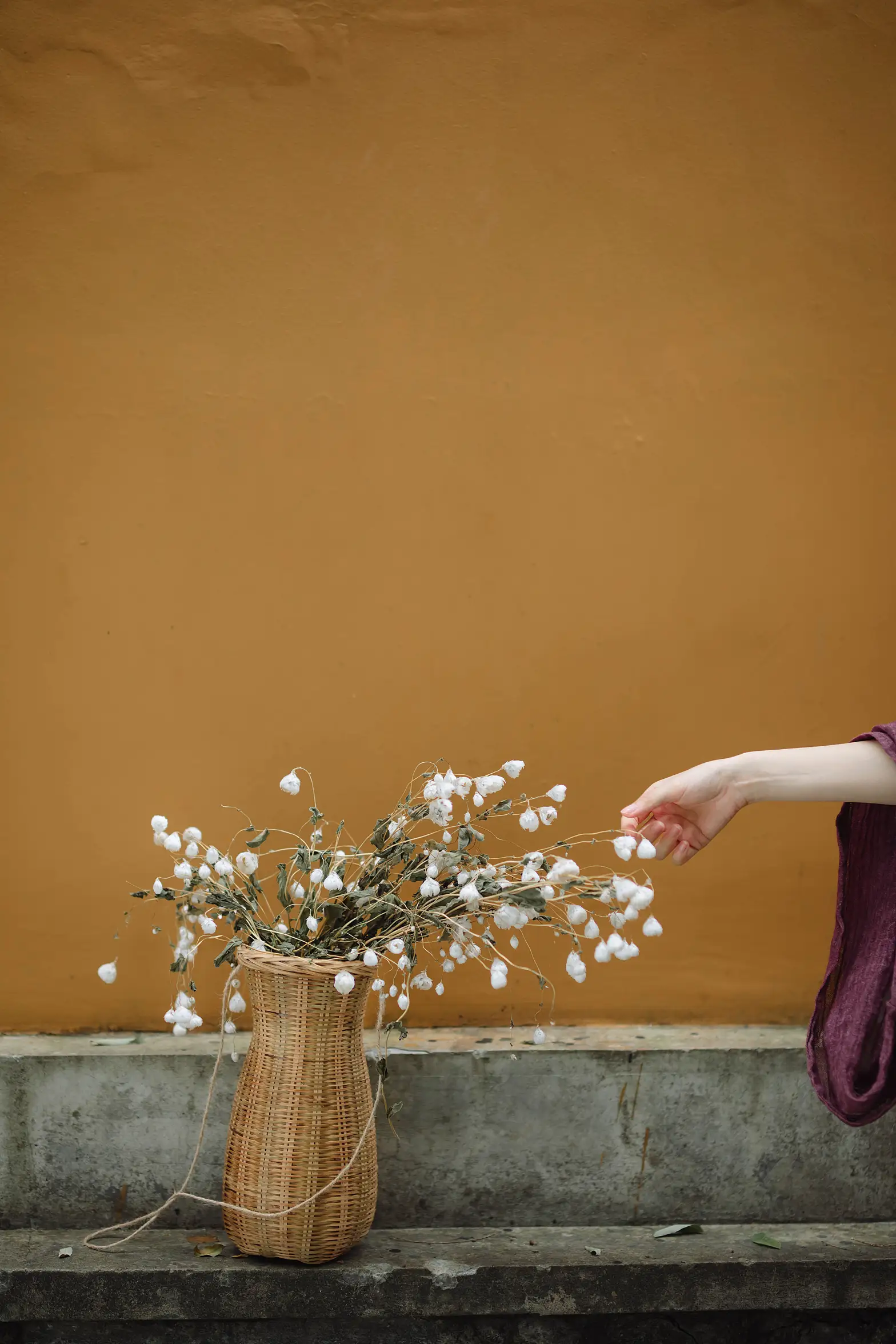 [艺图语] 2022.01.10 Vol.614 – 归山深浅去 周孟孟#[20P]-1