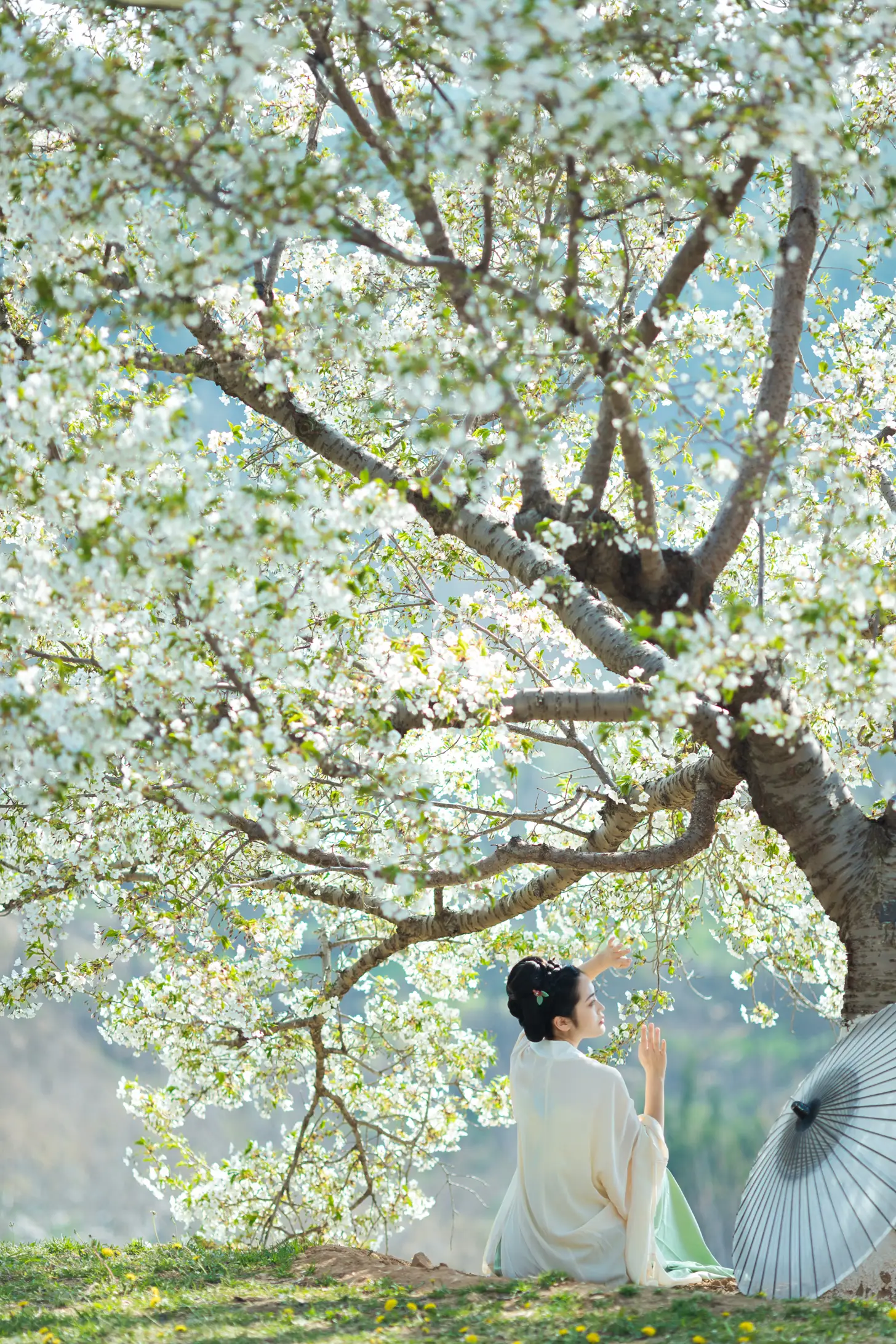 [艺图语] 2022.07.06 Vol.1398 – 樱花开 是MiN呀#[22P]-2